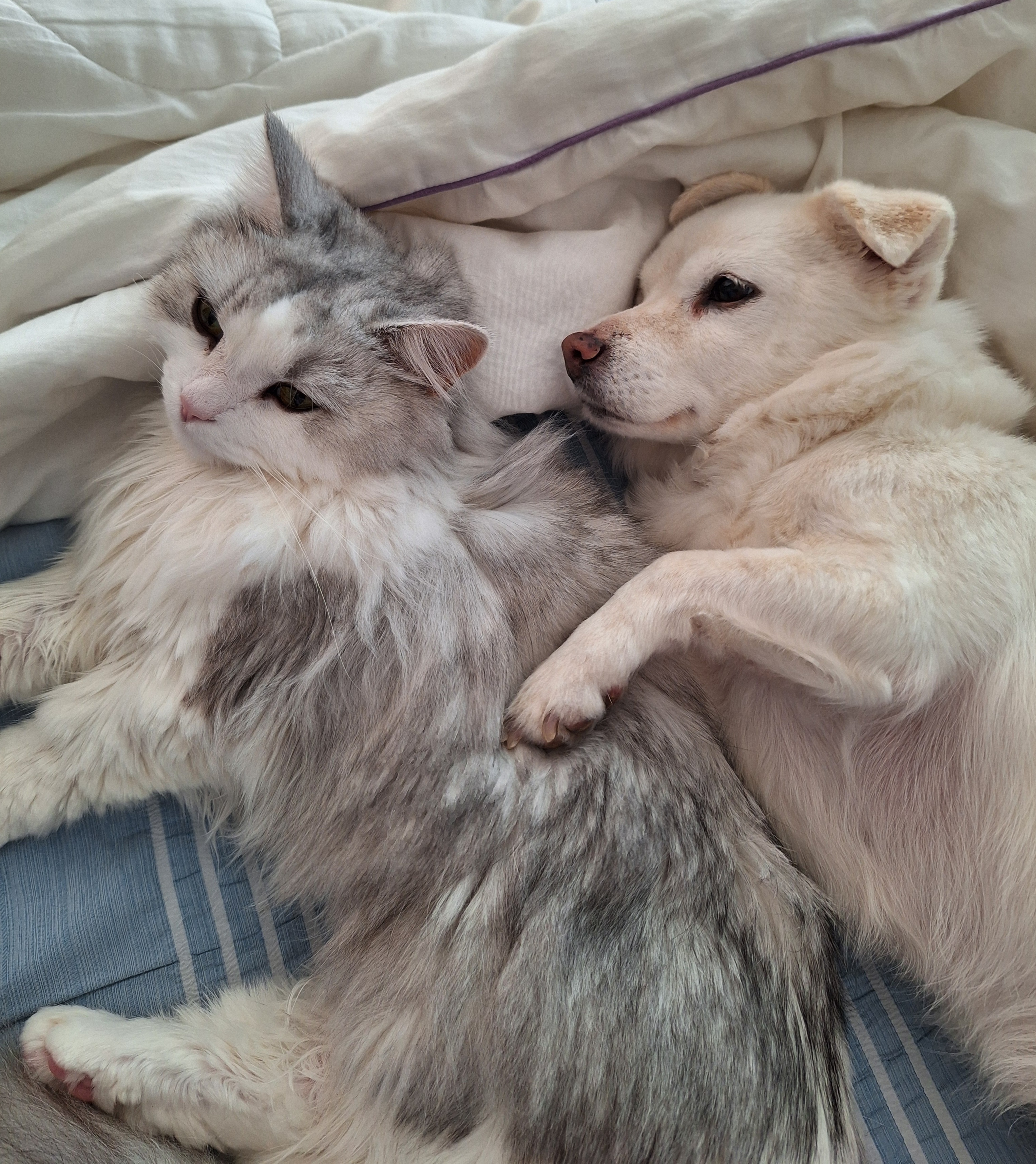 흰자 잘 지내요