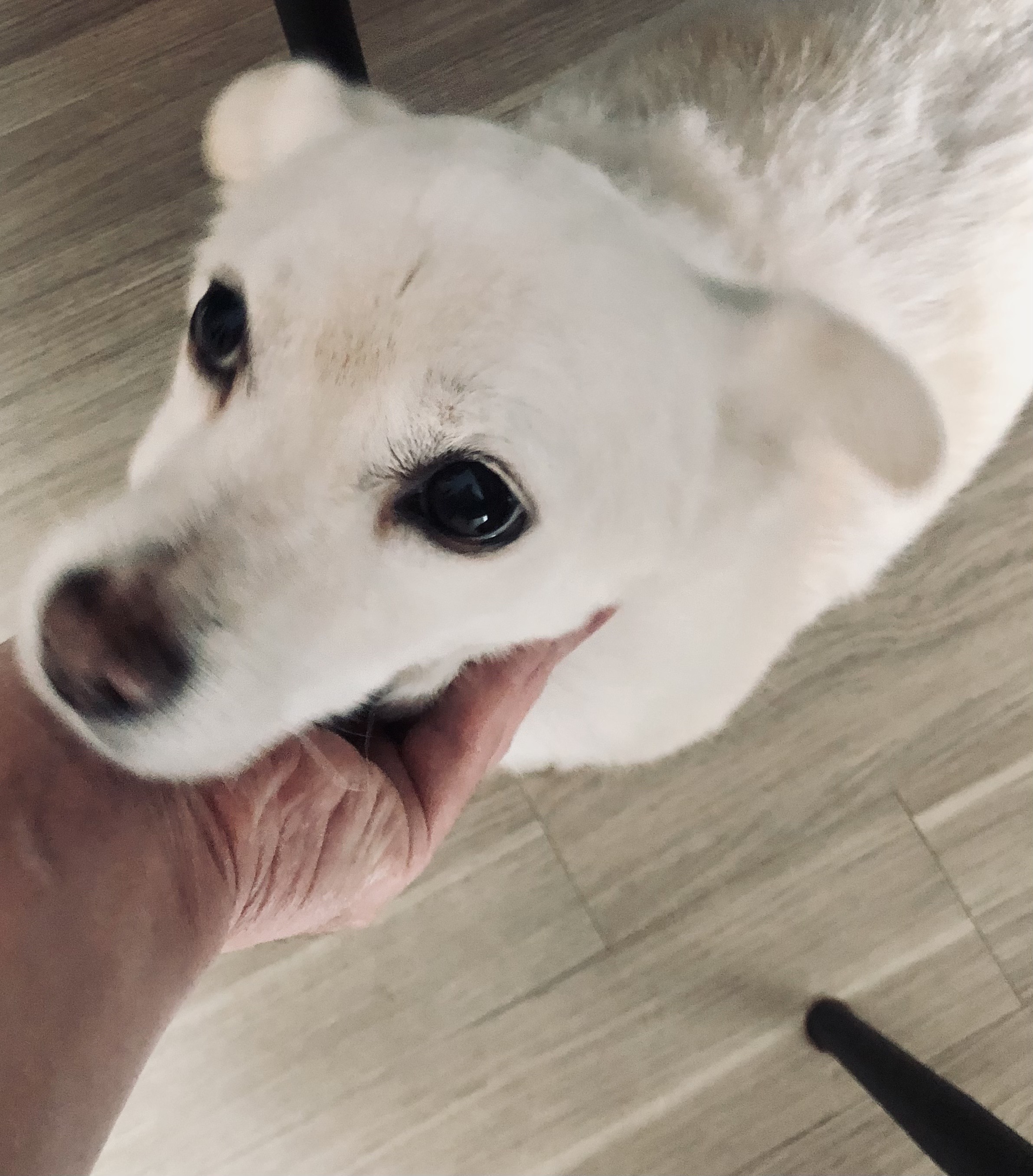 흰자 잘 지내요