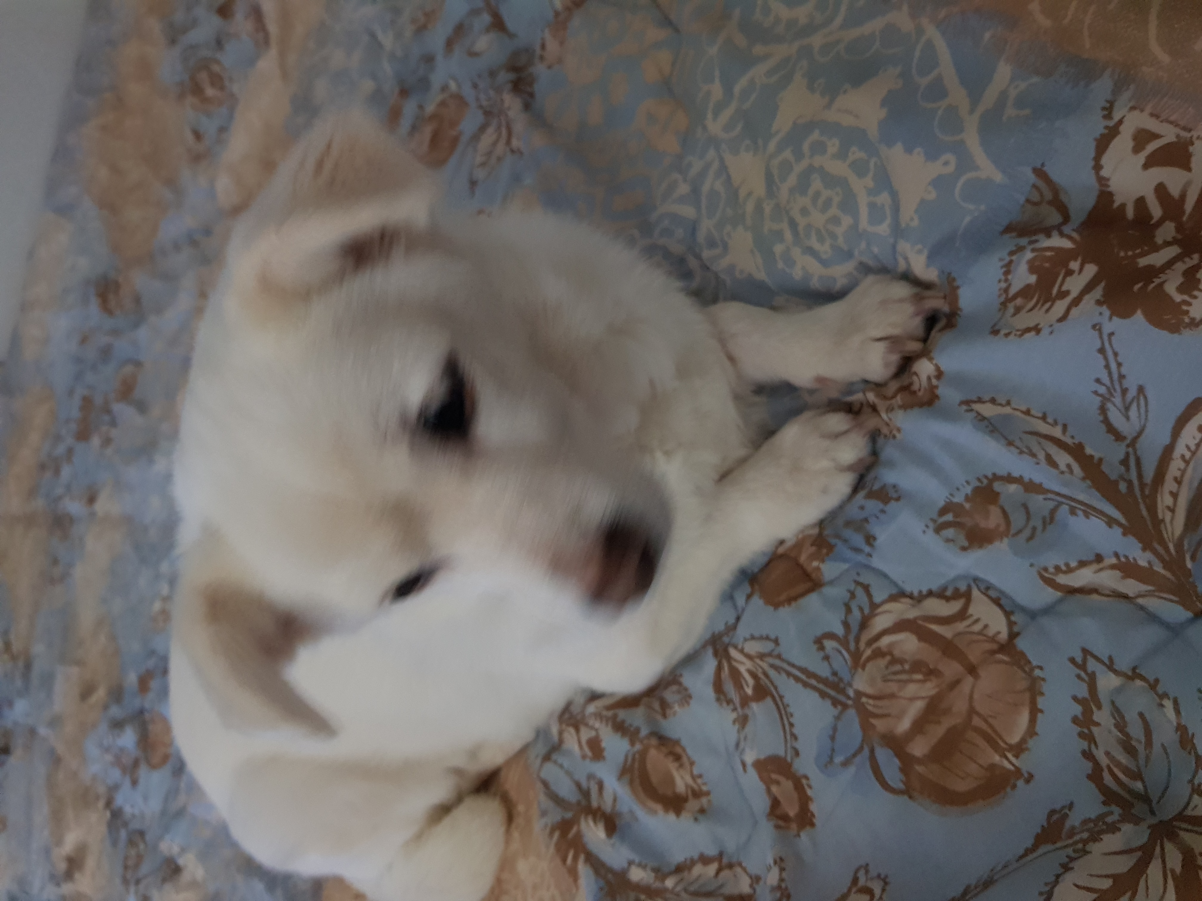 흰자 잘 지내요