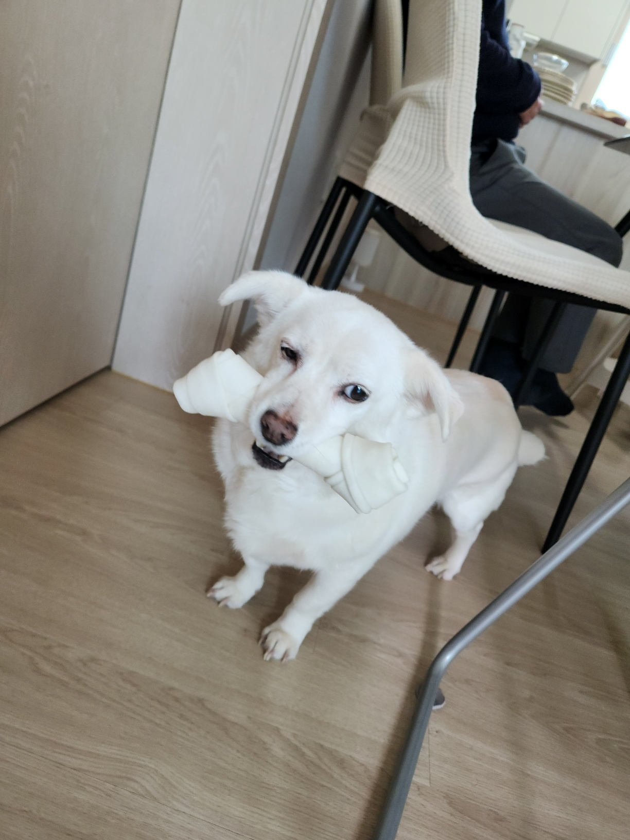 흰자 잘 지내요