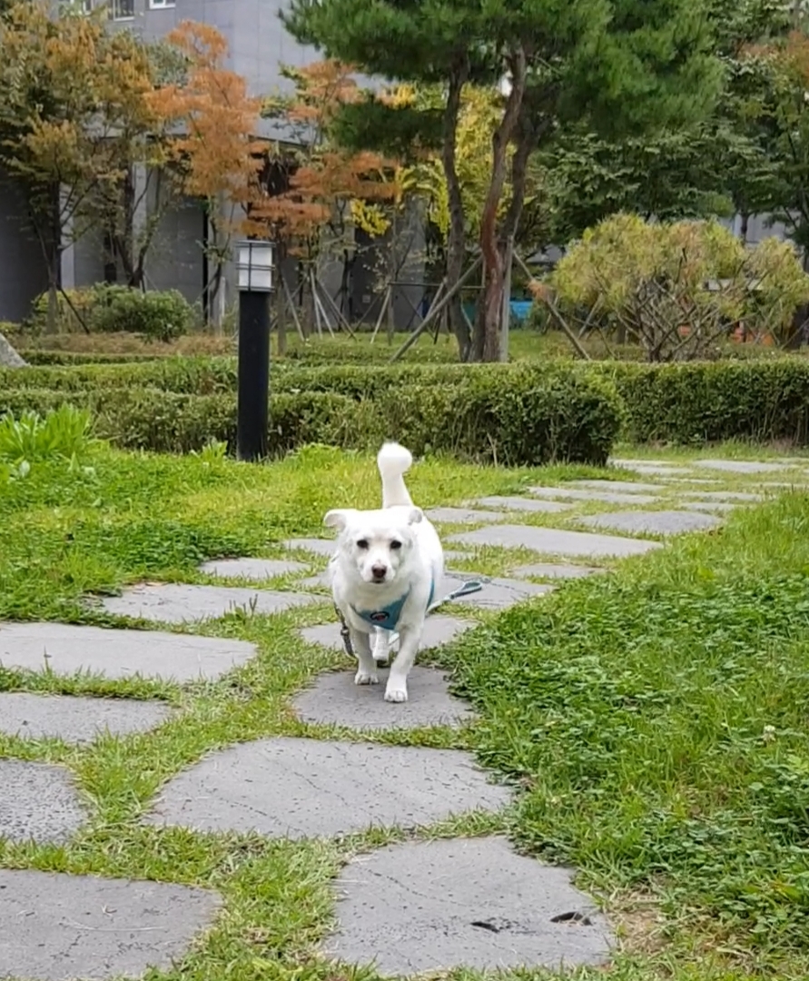 흰자 잘 지내요