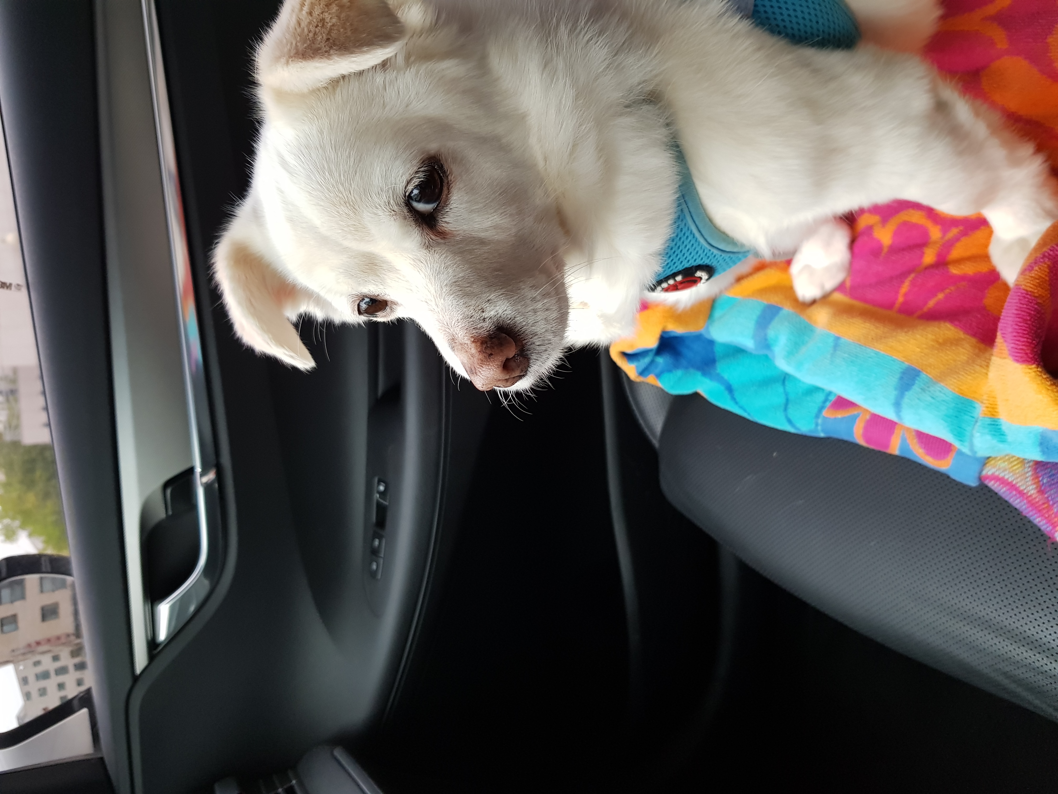 흰자 잘 지내요