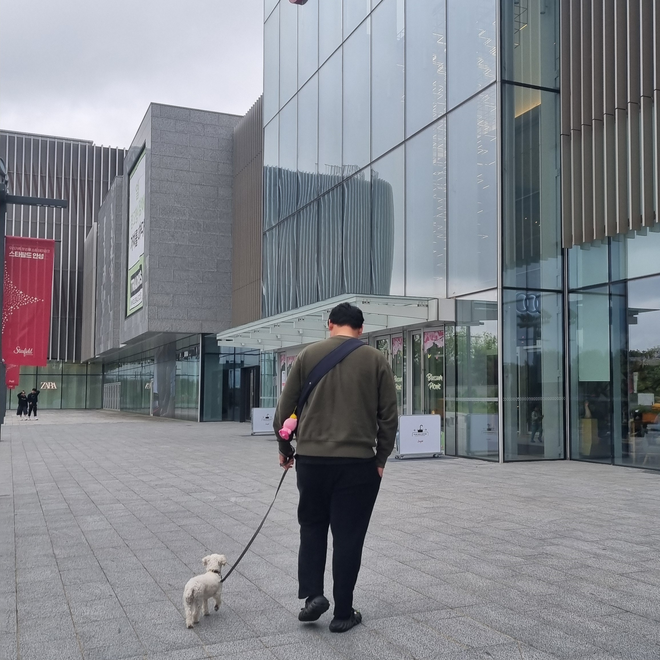 소복이(미카) 한달 임보일기