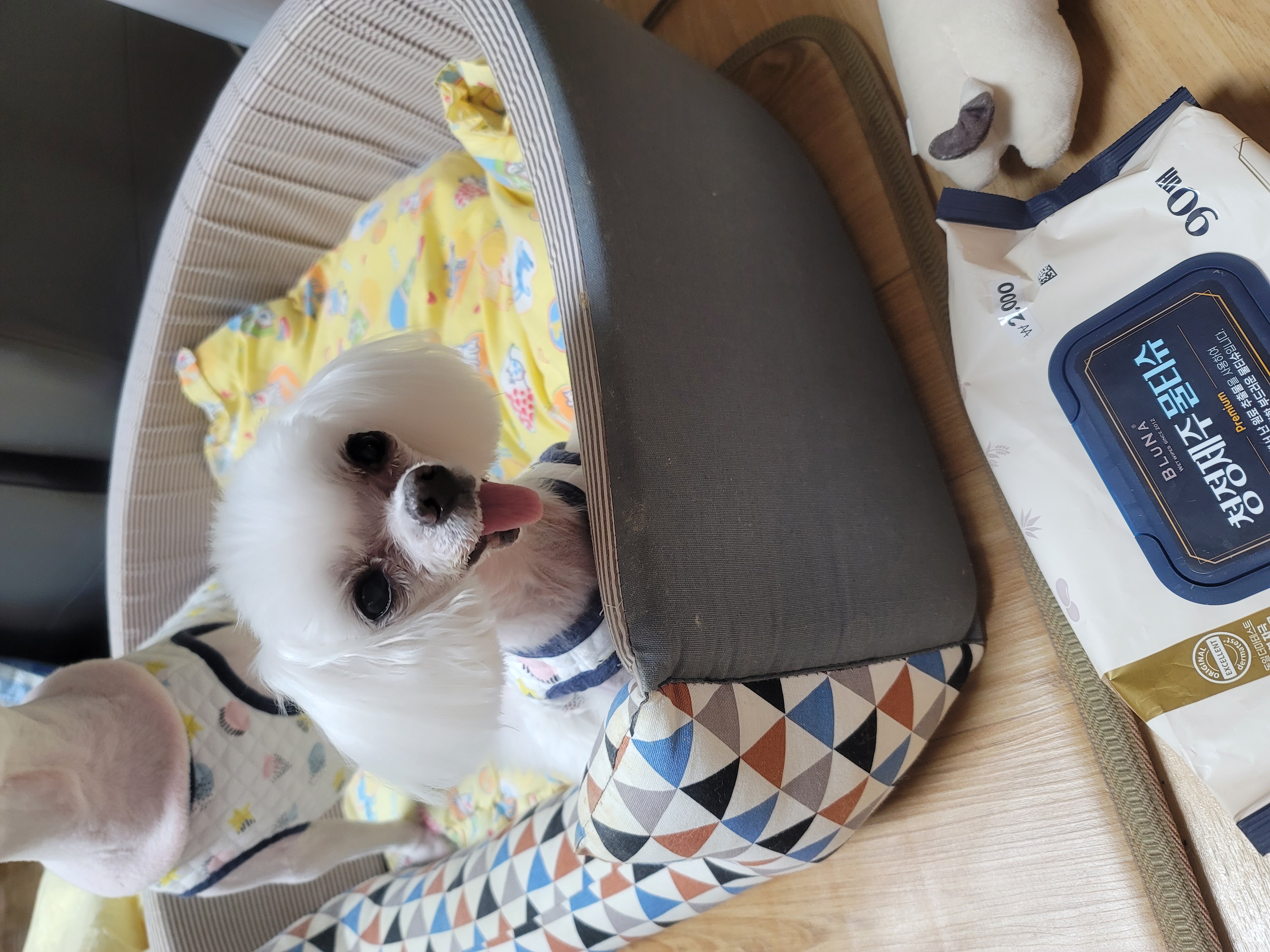 시흥꼬미이야기..