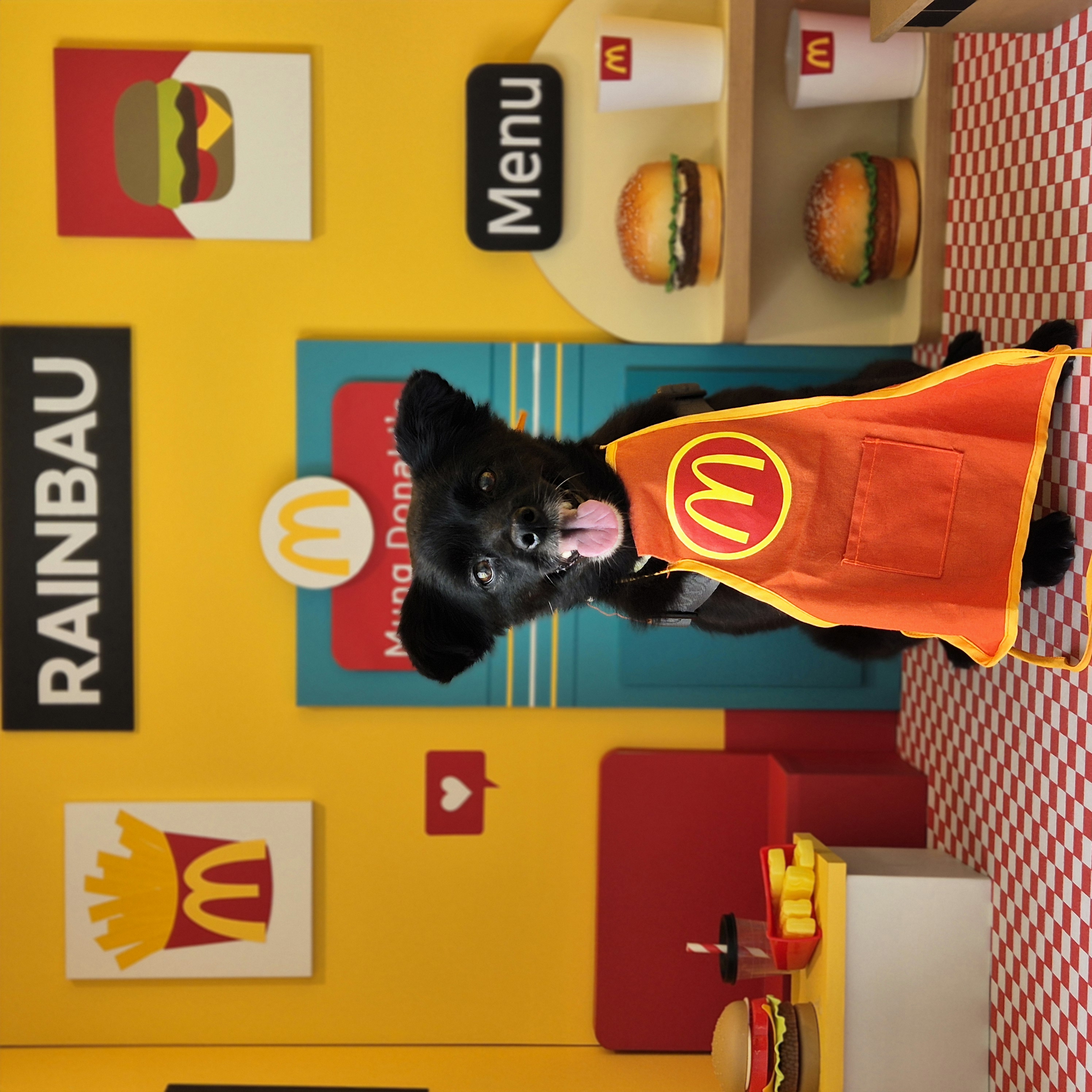 나오미 입양 3개월 후기