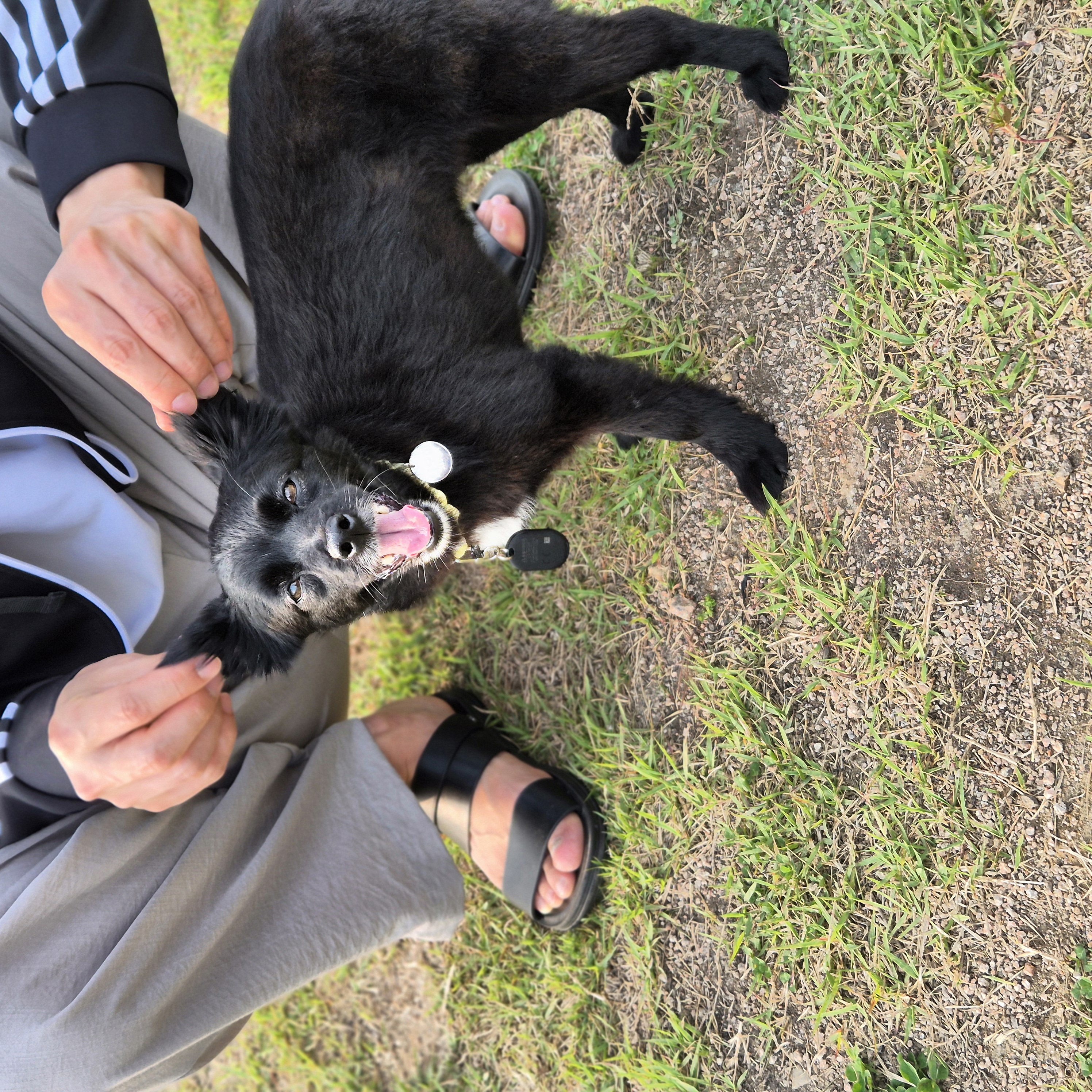 나오미 입양 3개월 후기