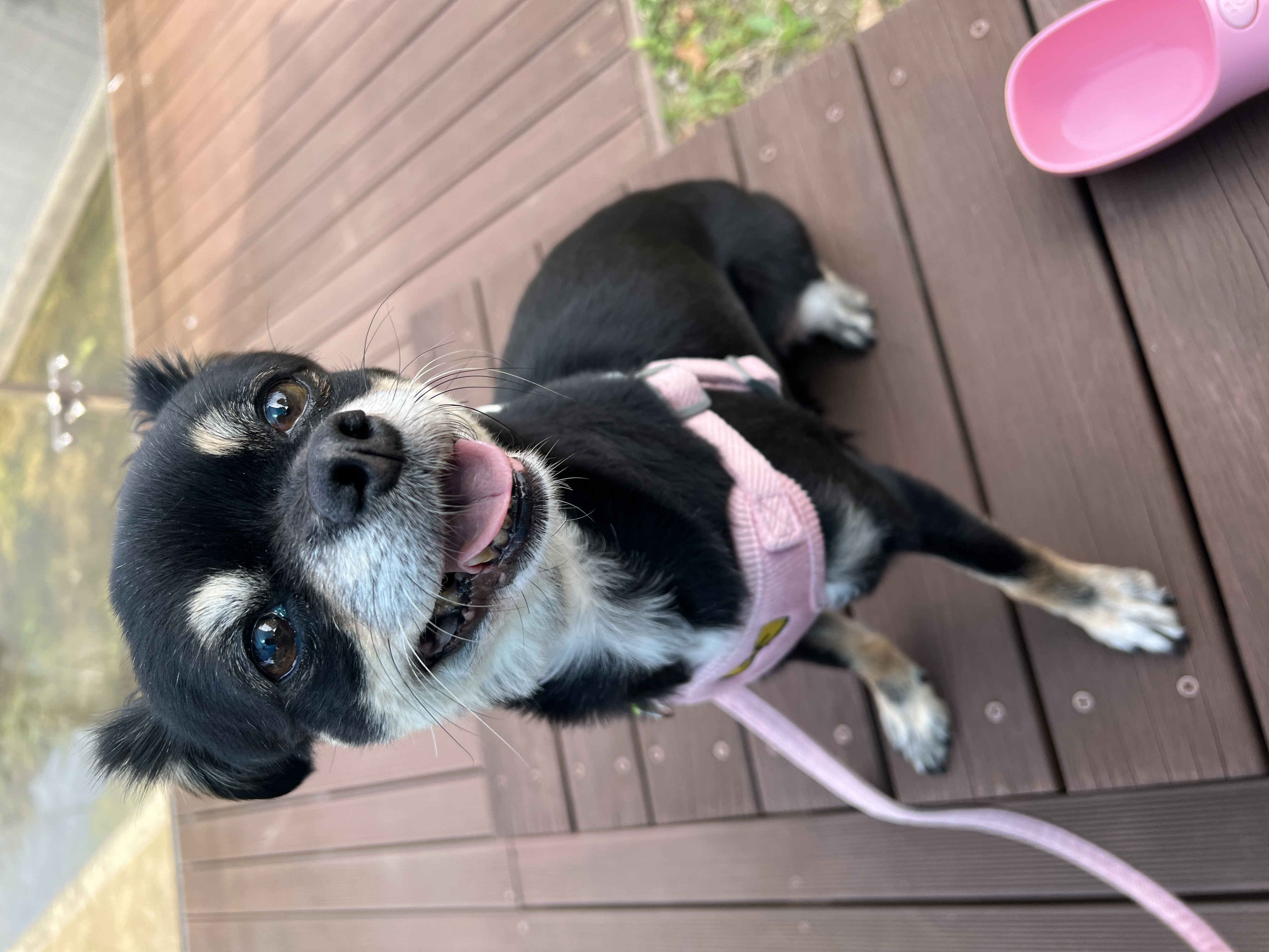 안녕하세요 깜뭉이네입니다:)