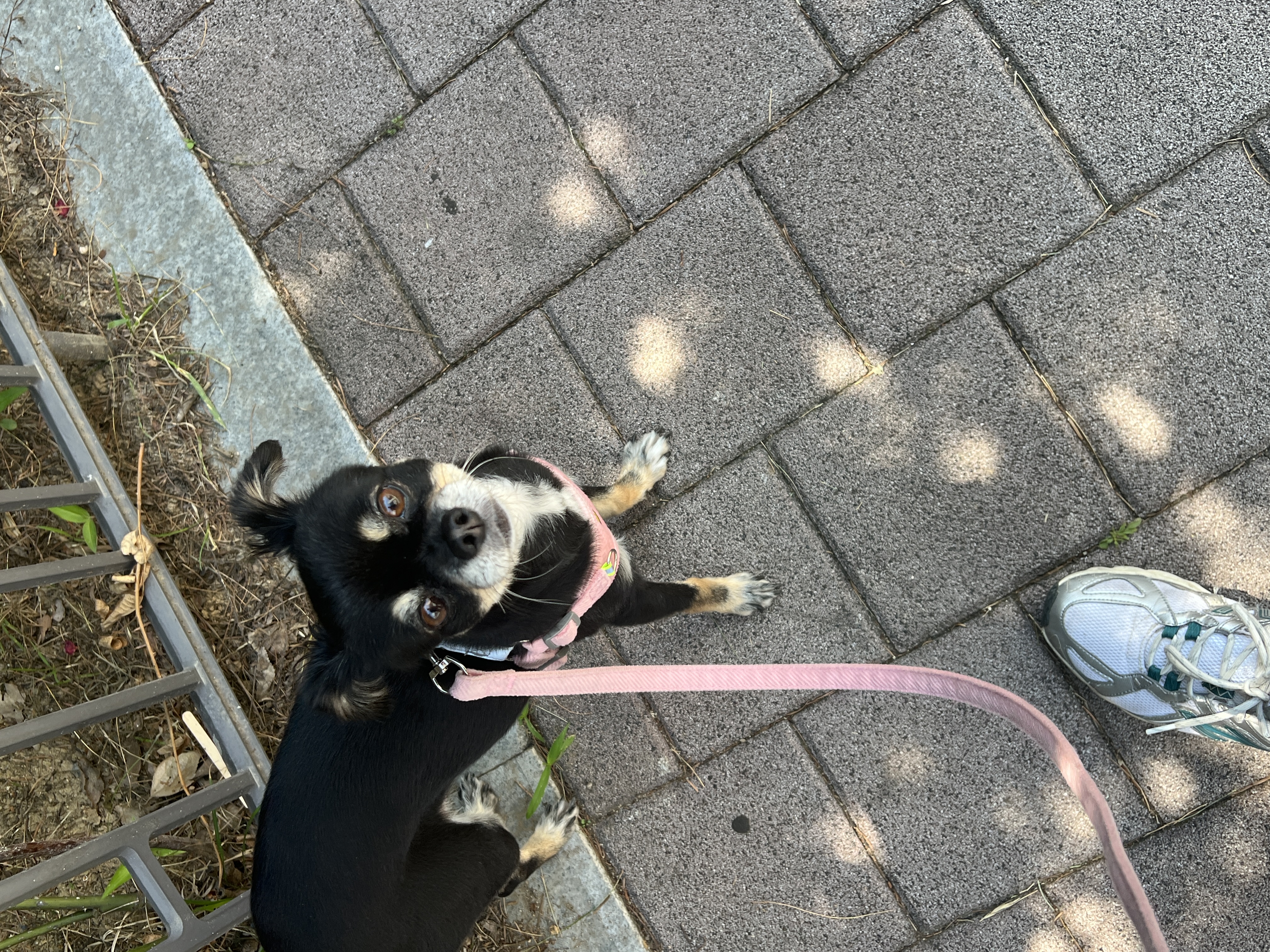 안녕하세요 깜뭉이네입니다:)