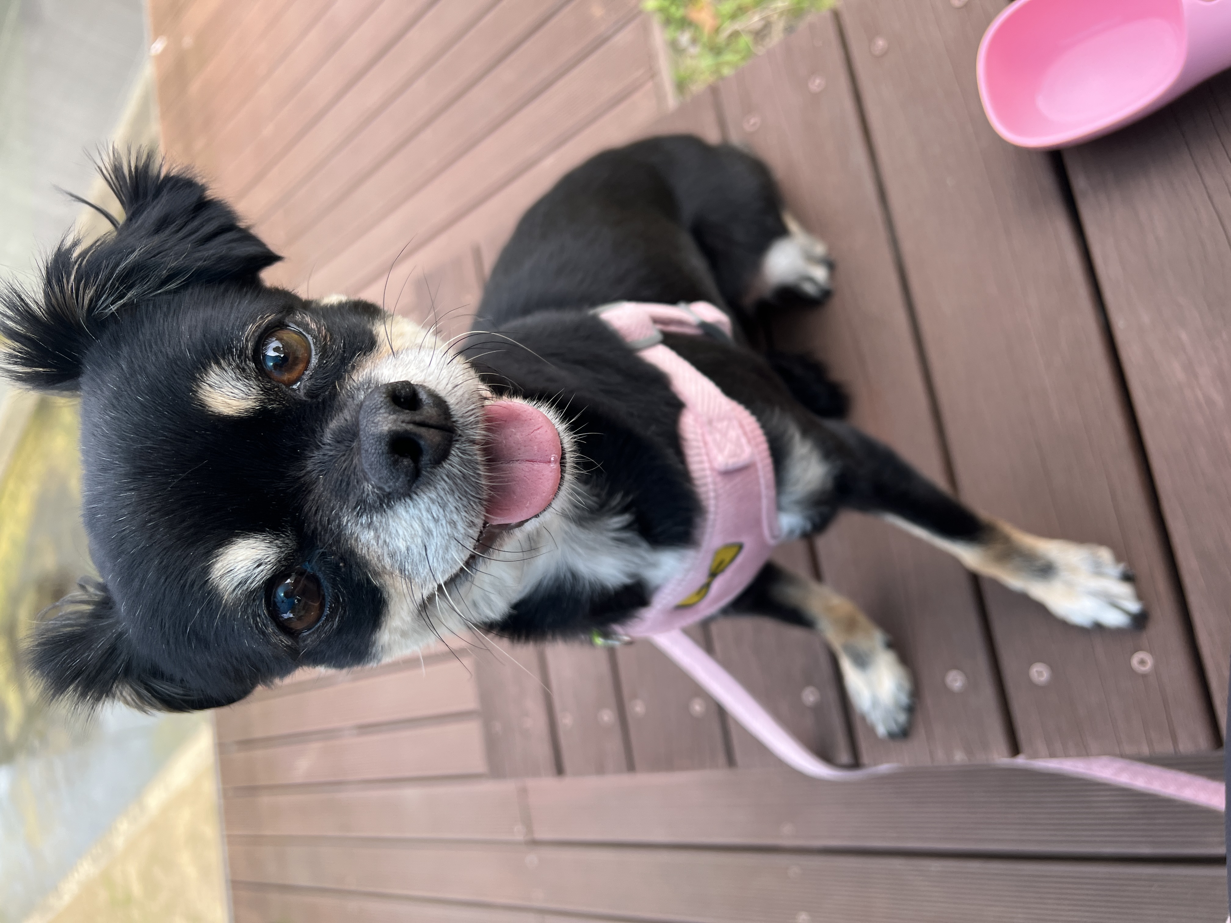 안녕하세요 깜뭉이네입니다:)