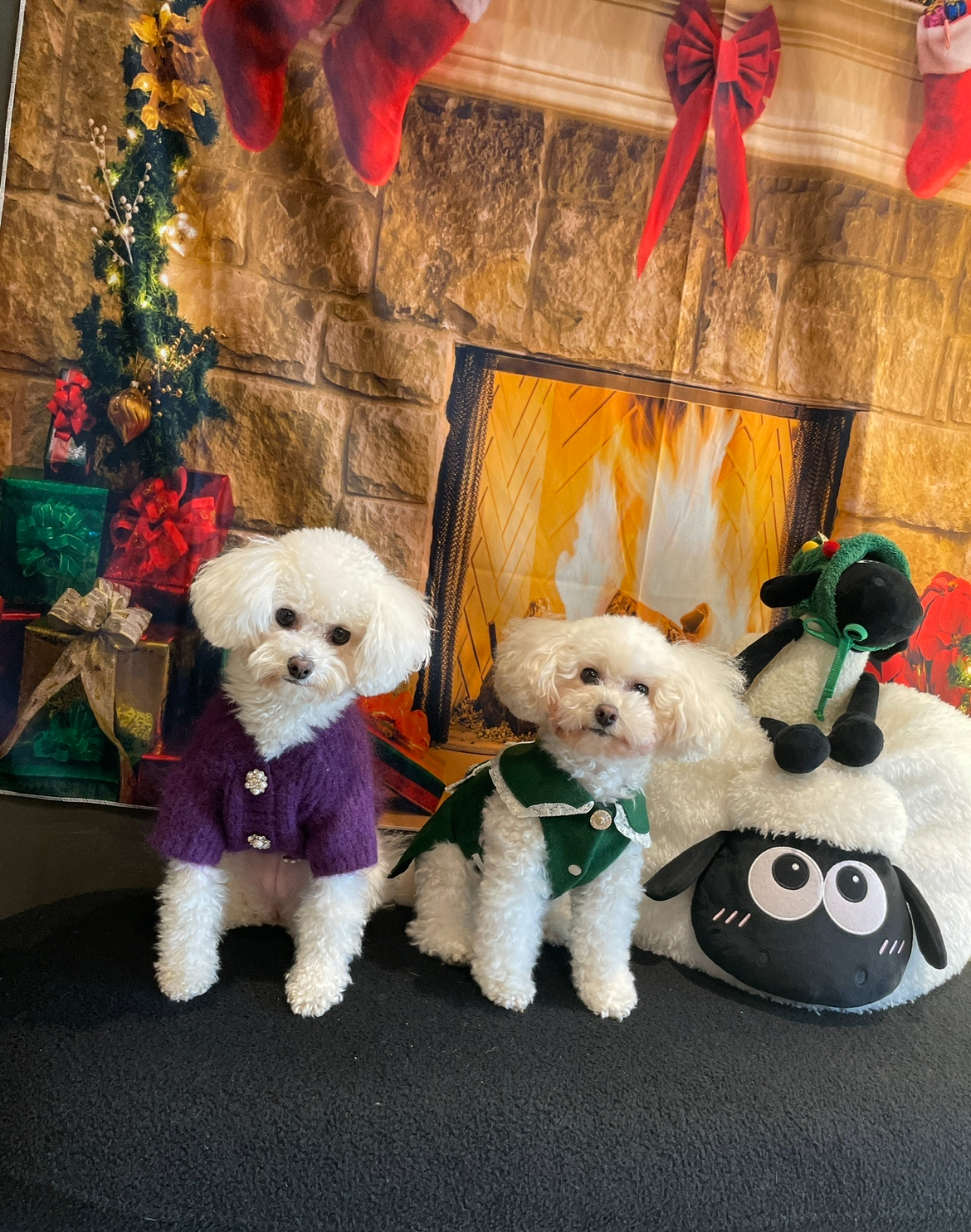 두리와 4년의 행복(구 사랑이)