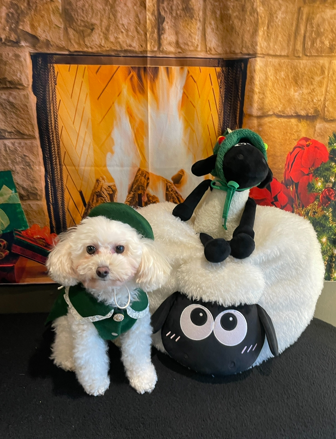 두리와 4년의 행복(구 사랑이)