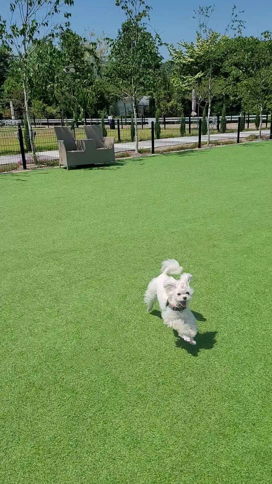 가족이된 길동(3년) 설이(6개월) 이야기