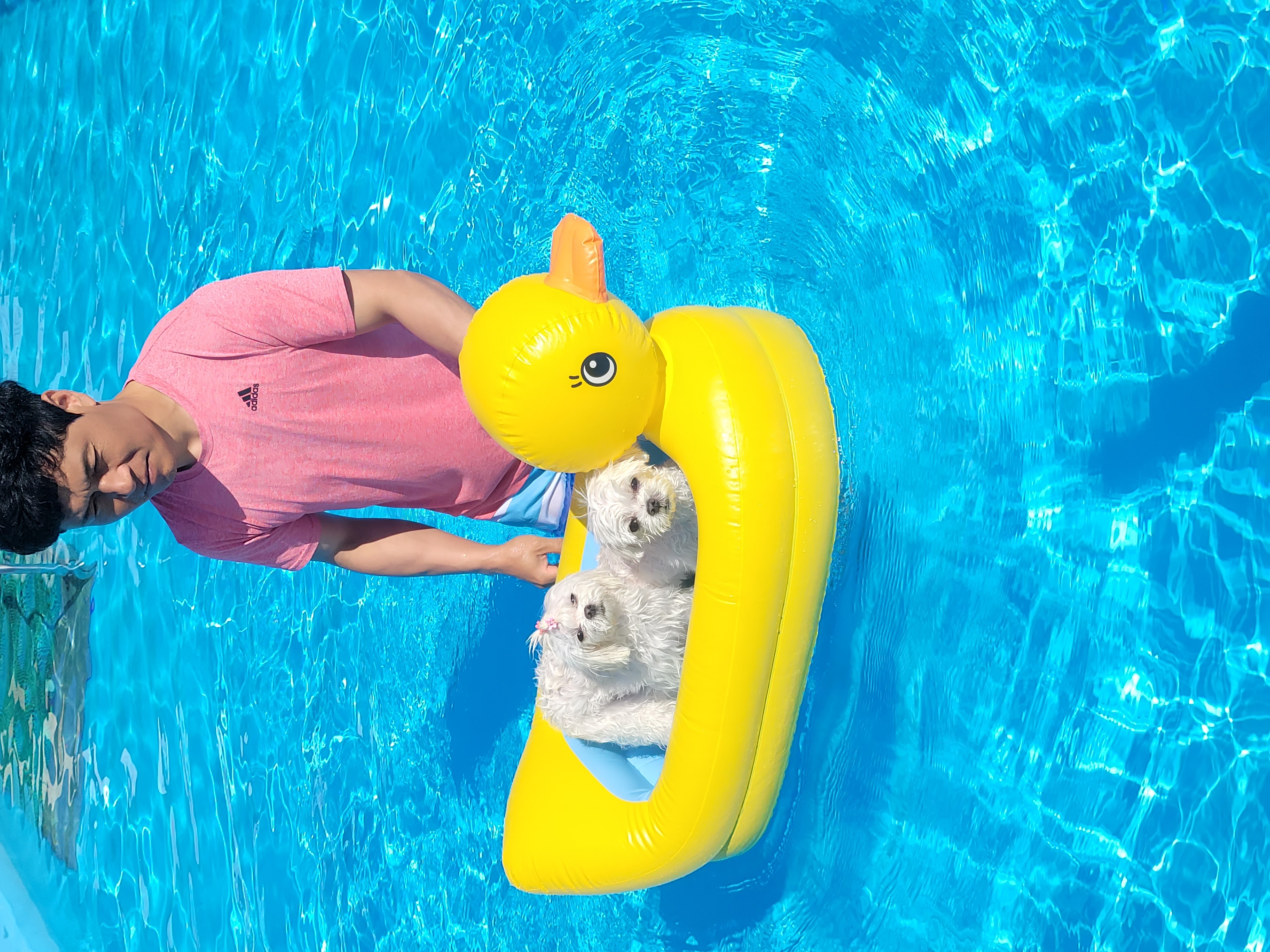 가족이된 길동(3년) 설이(6개월) 이야기