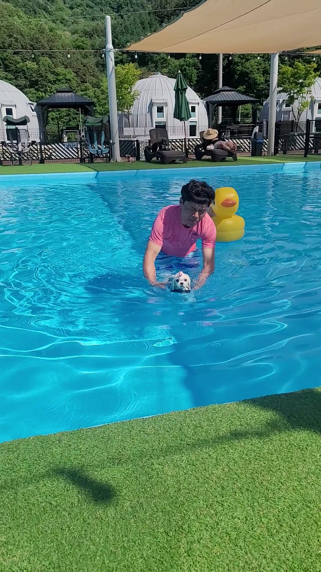 가족이된 길동(3년) 설이(6개월) 이야기