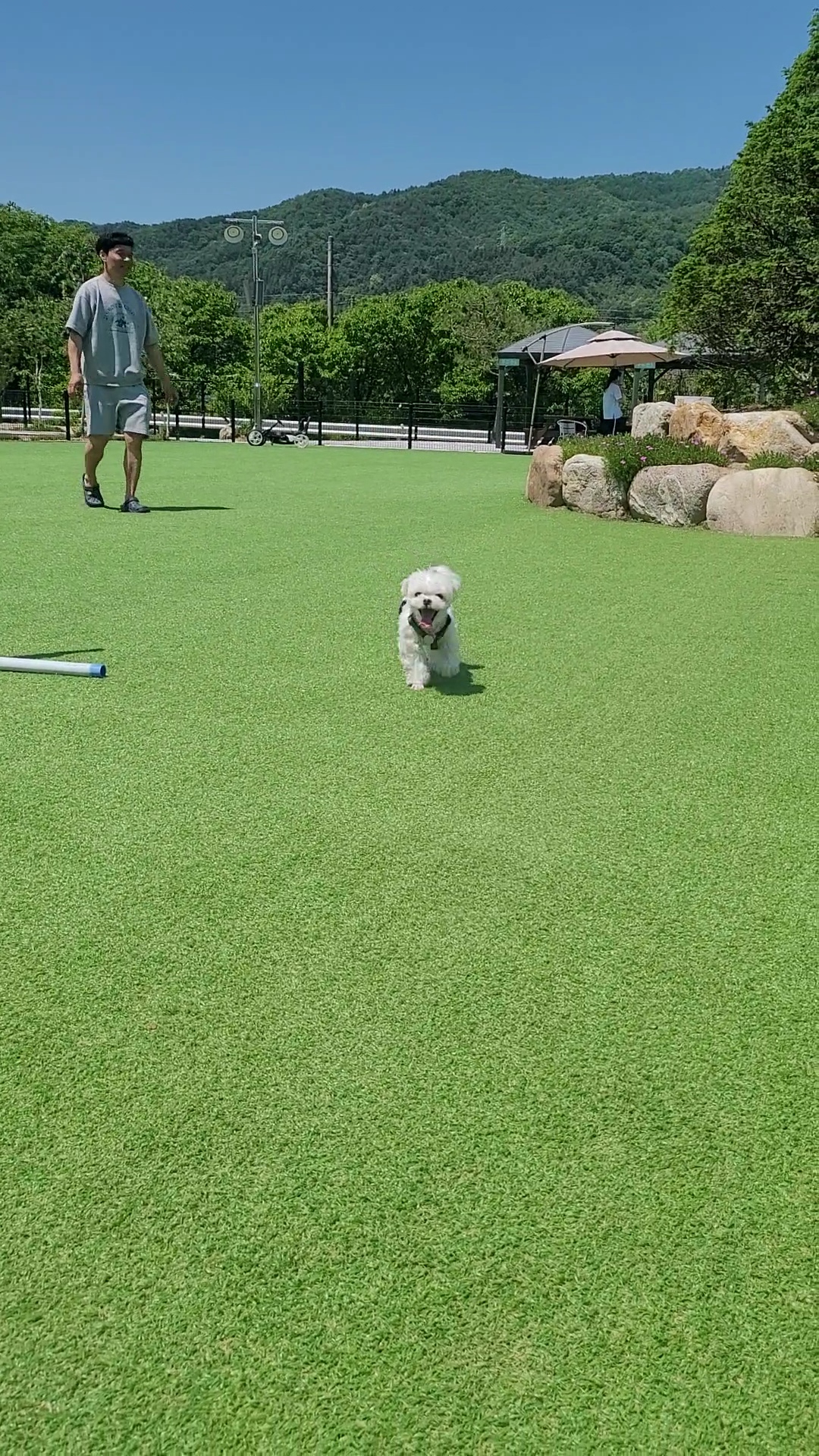 가족이된 길동(3년) 설이(6개월) 이야기