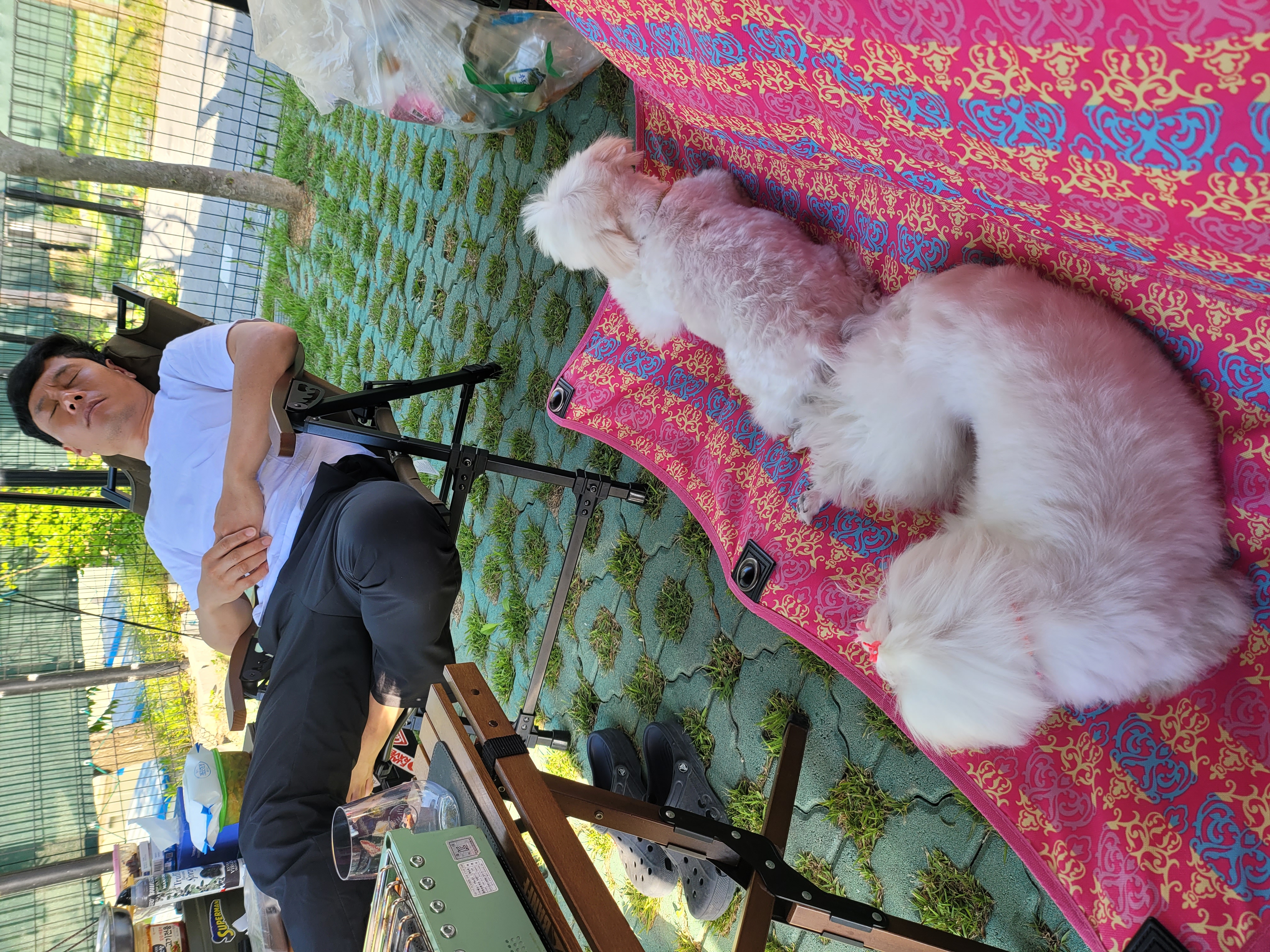 가족이된 길동(3년) 설이(6개월) 이야기