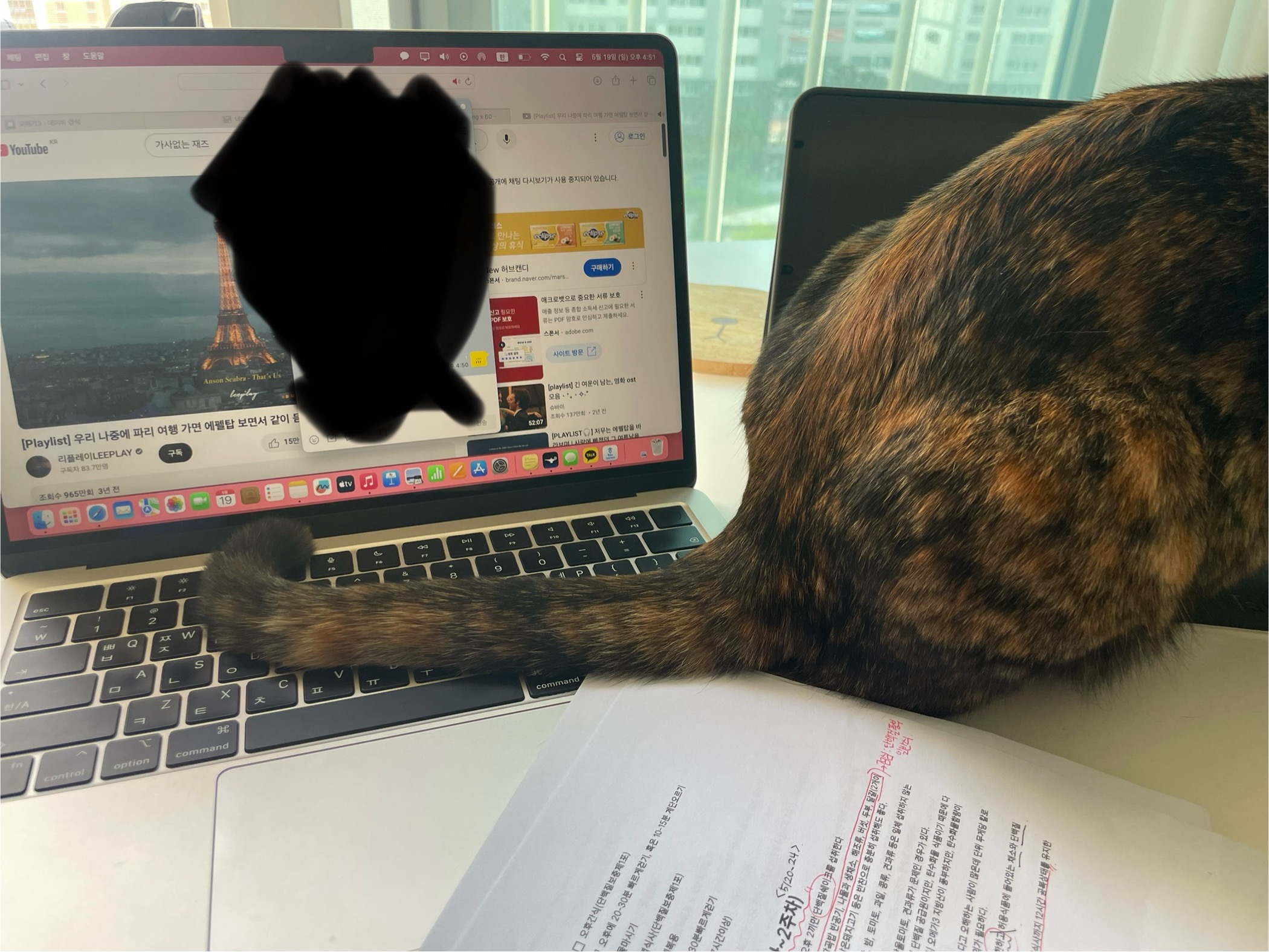 고롱이와 1주년 ❤️