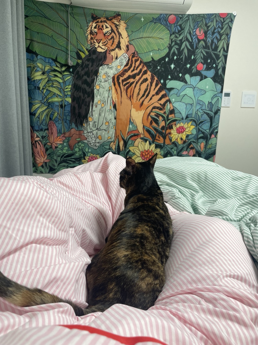 고롱이와 1주년 ❤️