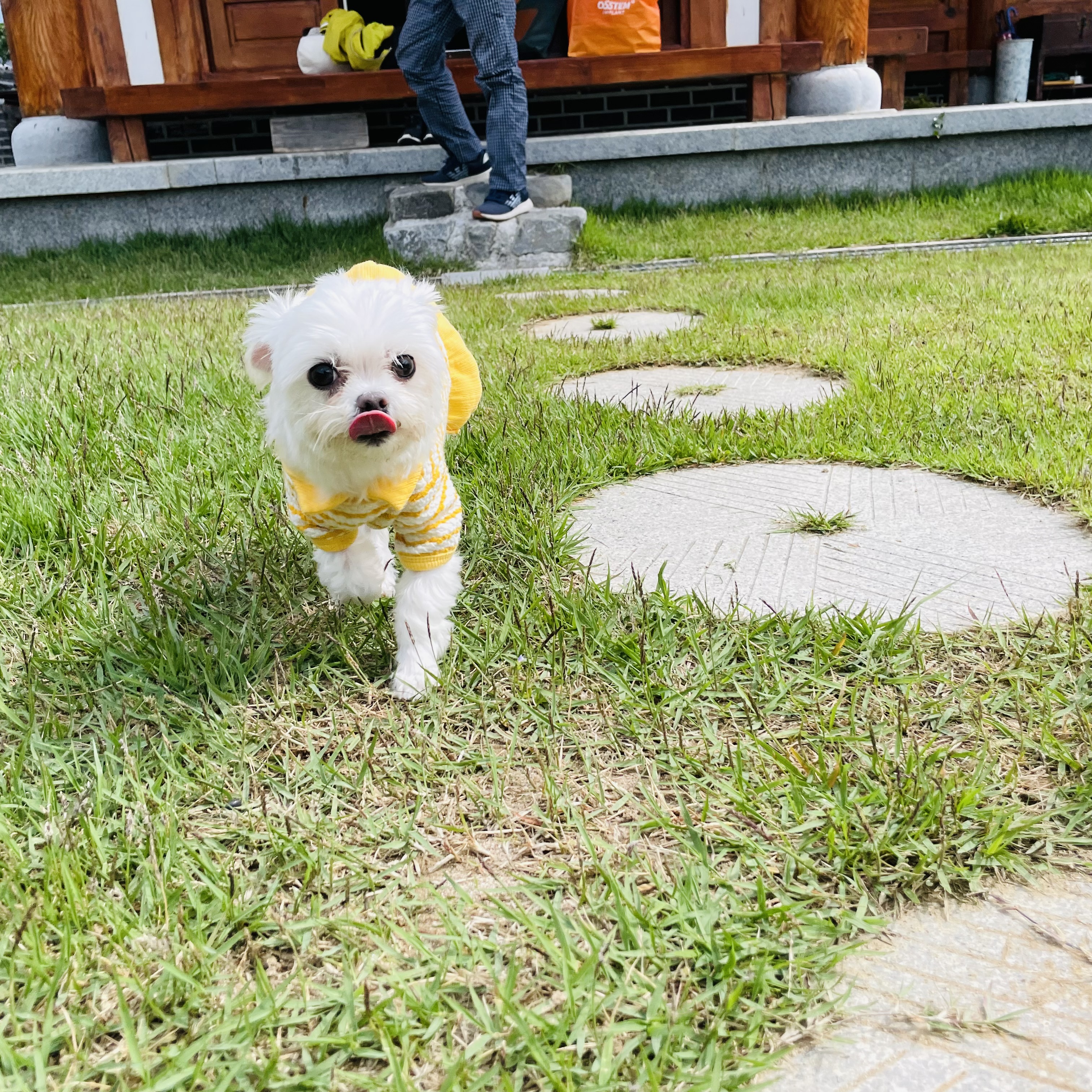 복담이(쁘니) 2개월차!