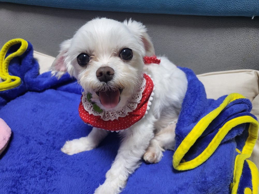 복담이(쁘니) 2개월차!