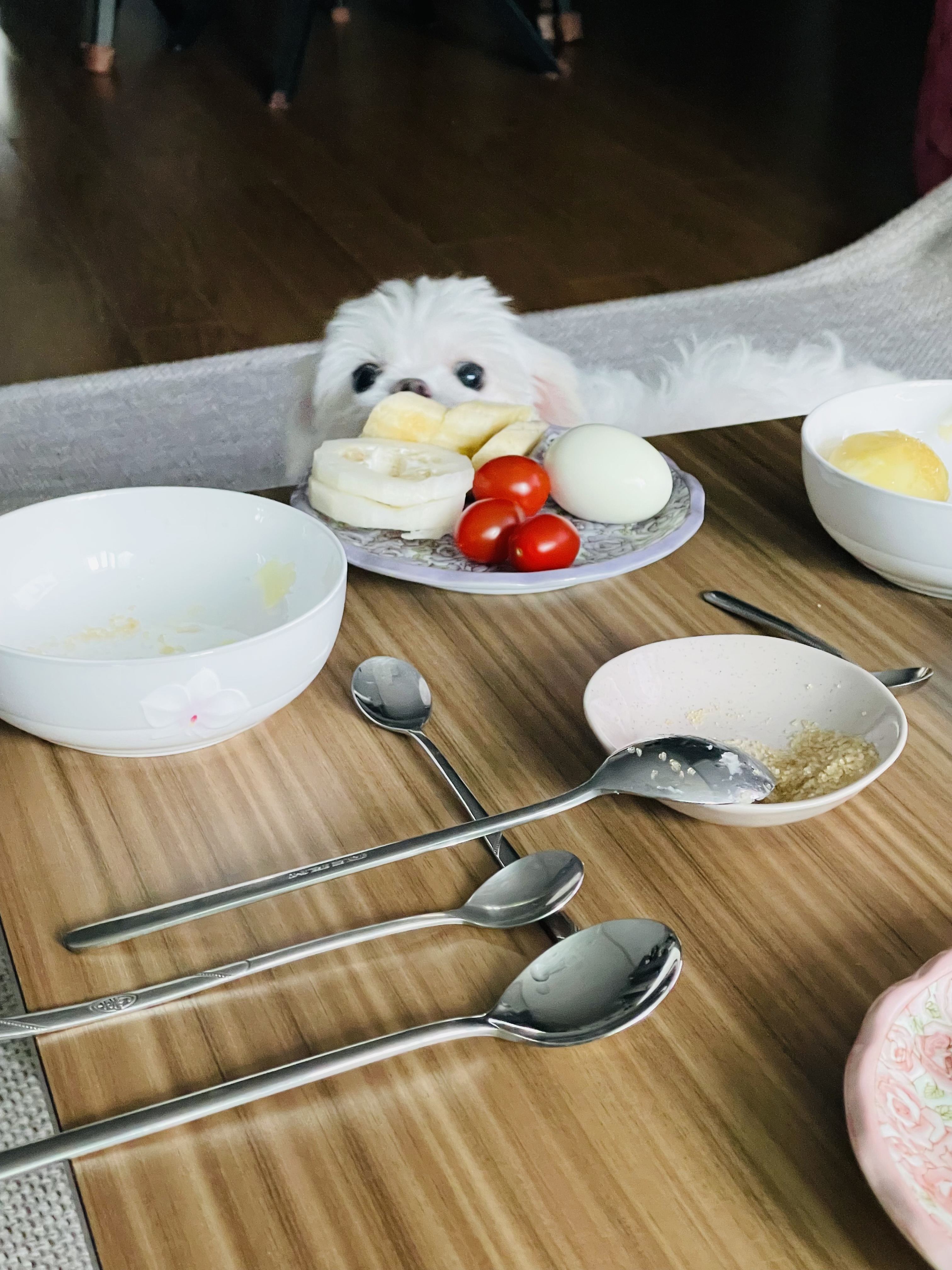 복담이(쁘니) 2개월차!