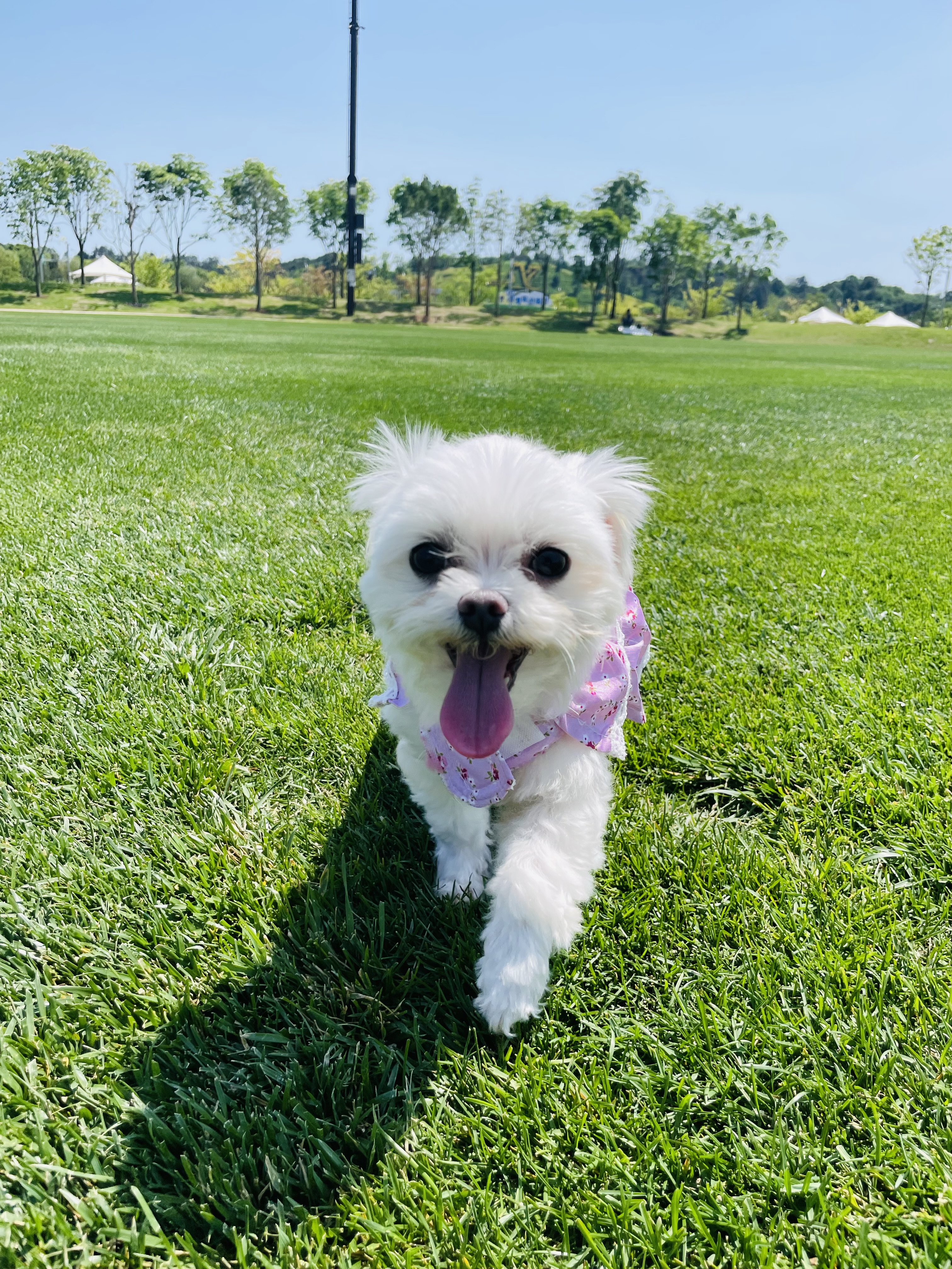 복담이(쁘니) 2개월차!