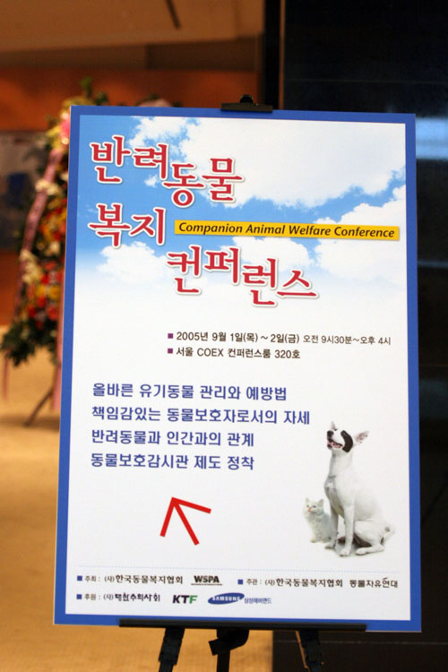 사진19