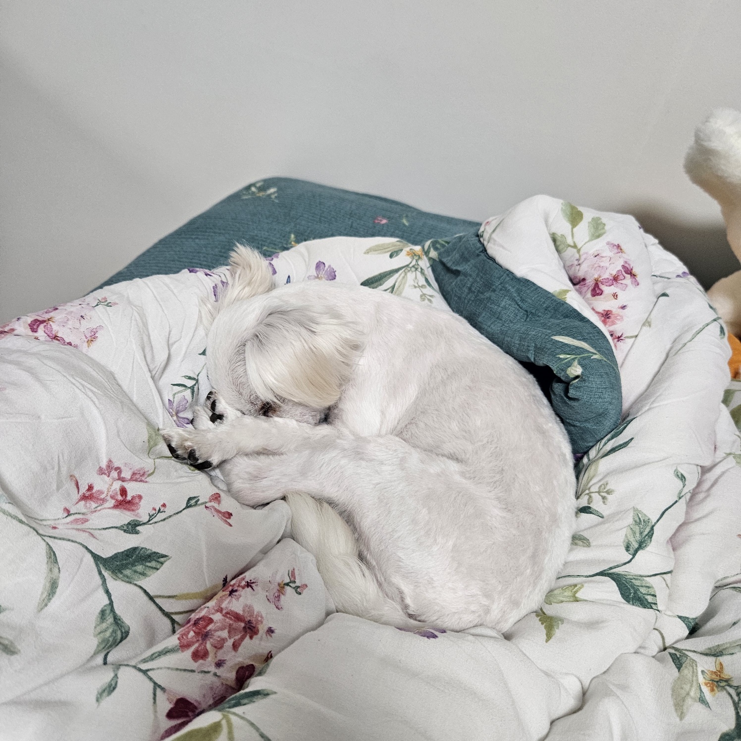 엄청난 사랑둥이 마티