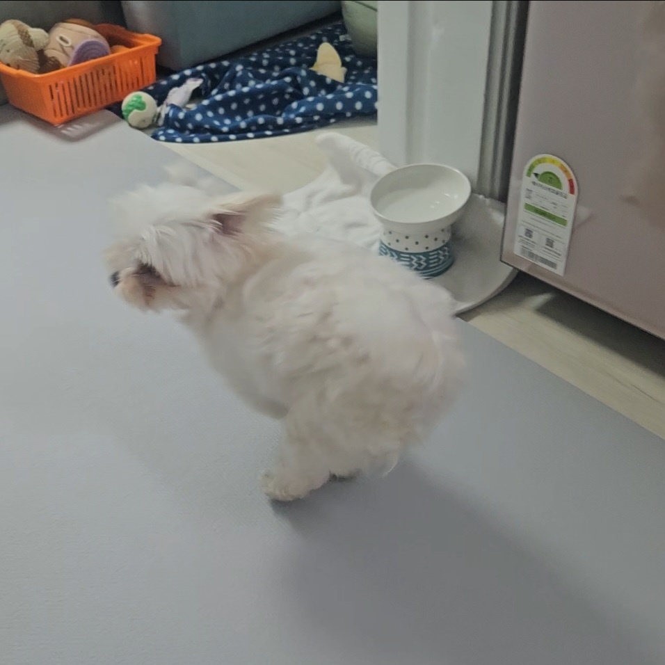 엄청난 사랑둥이 마티