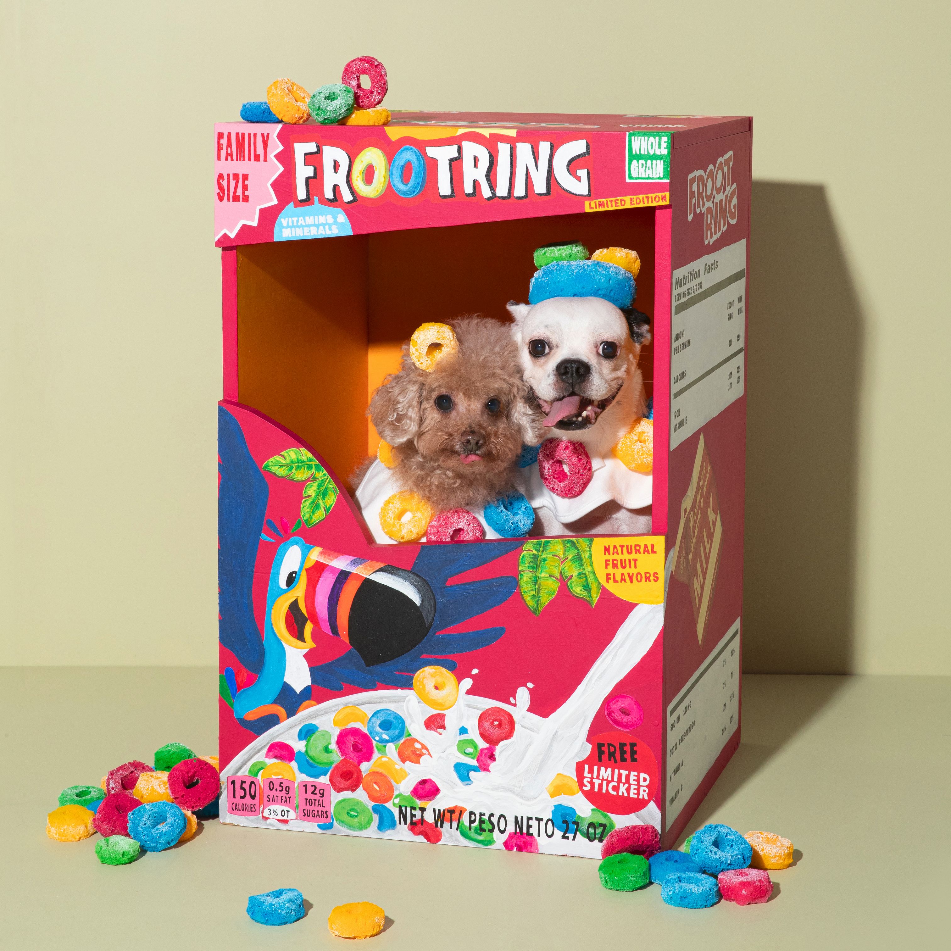 아인이(애디) 2년차 입양후기