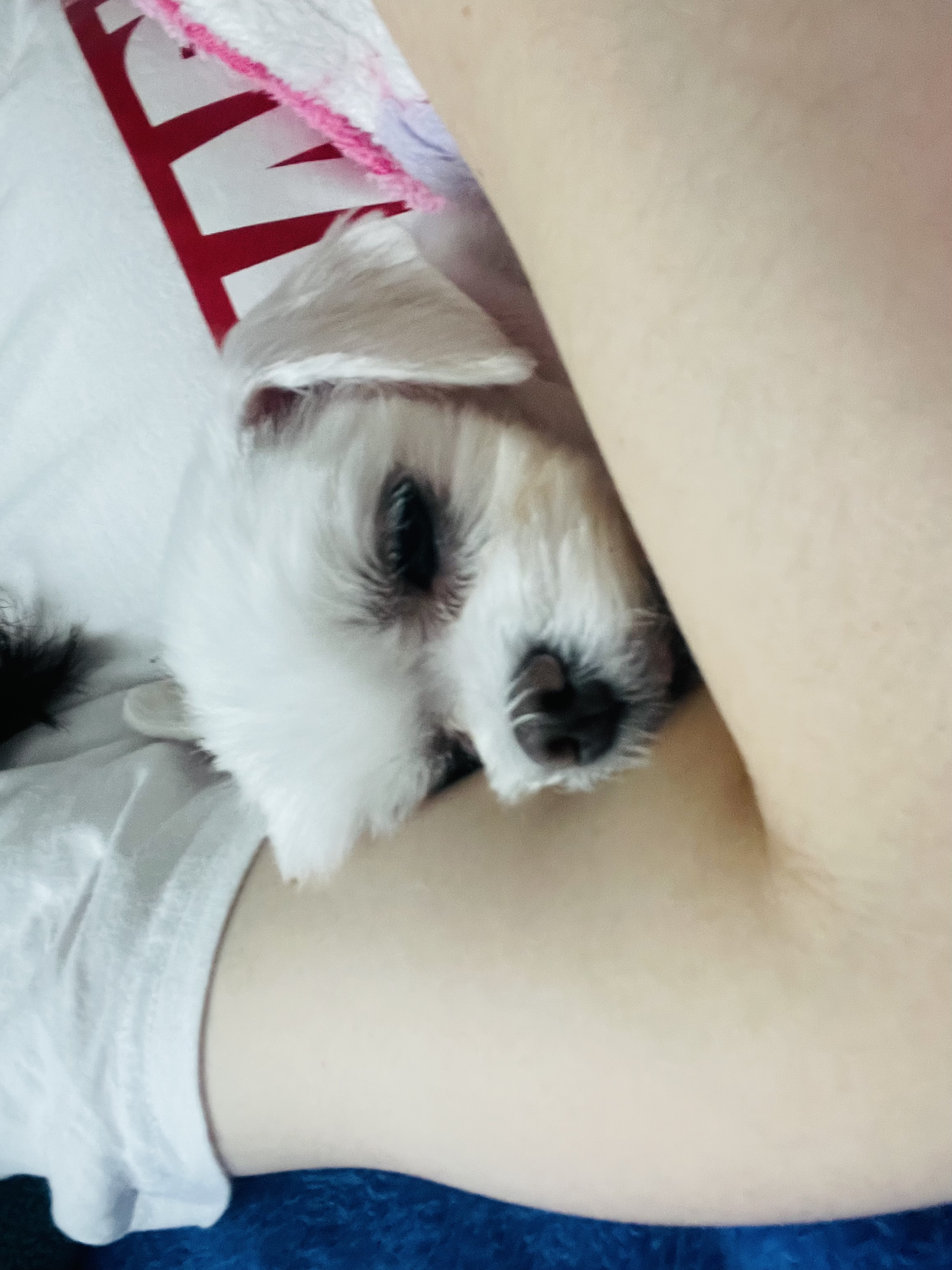 복담이(구 쁘니) 3개월차