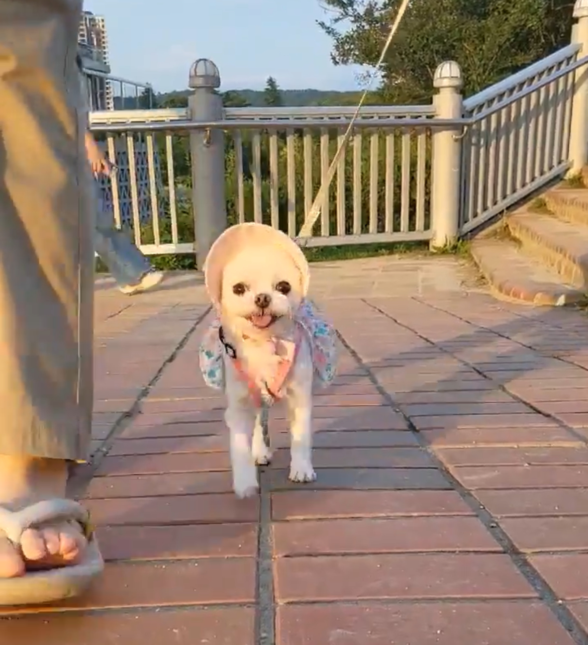 복담이(구 쁘니) 3개월차