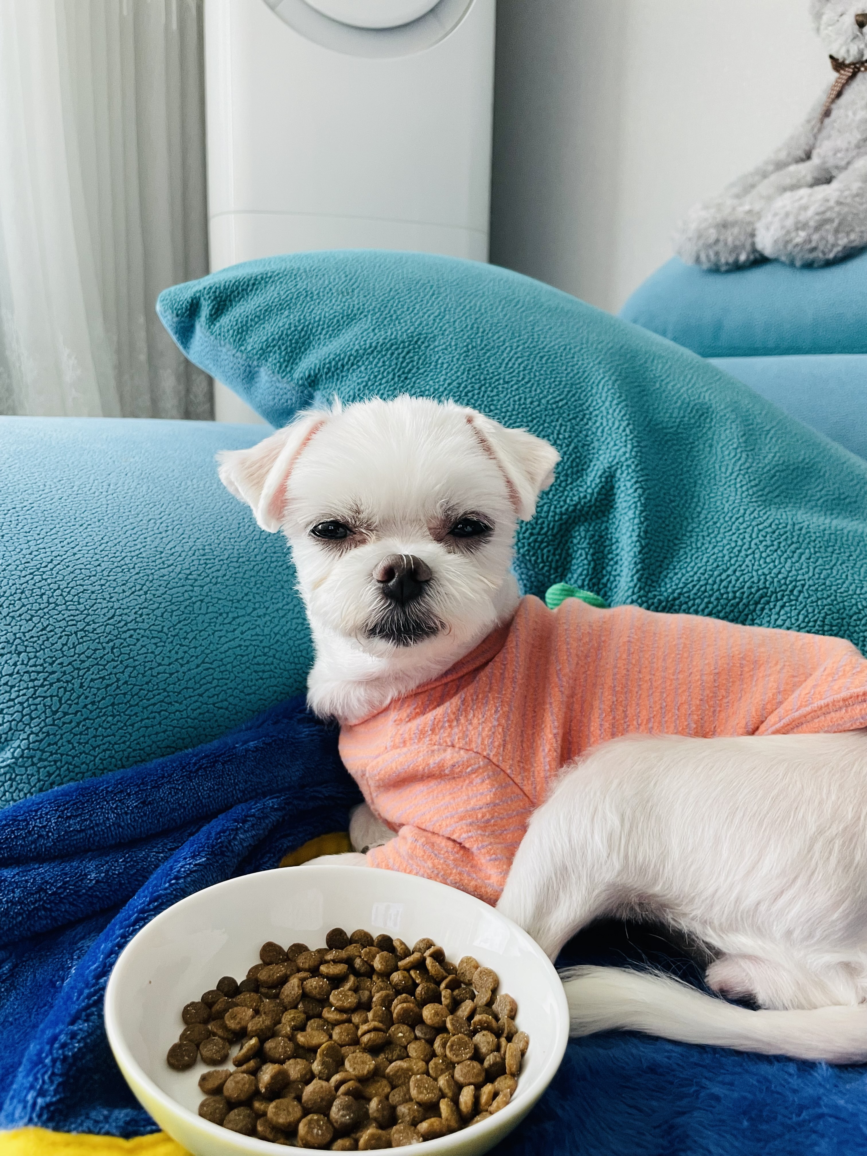 복담이(구 쁘니) 3개월차