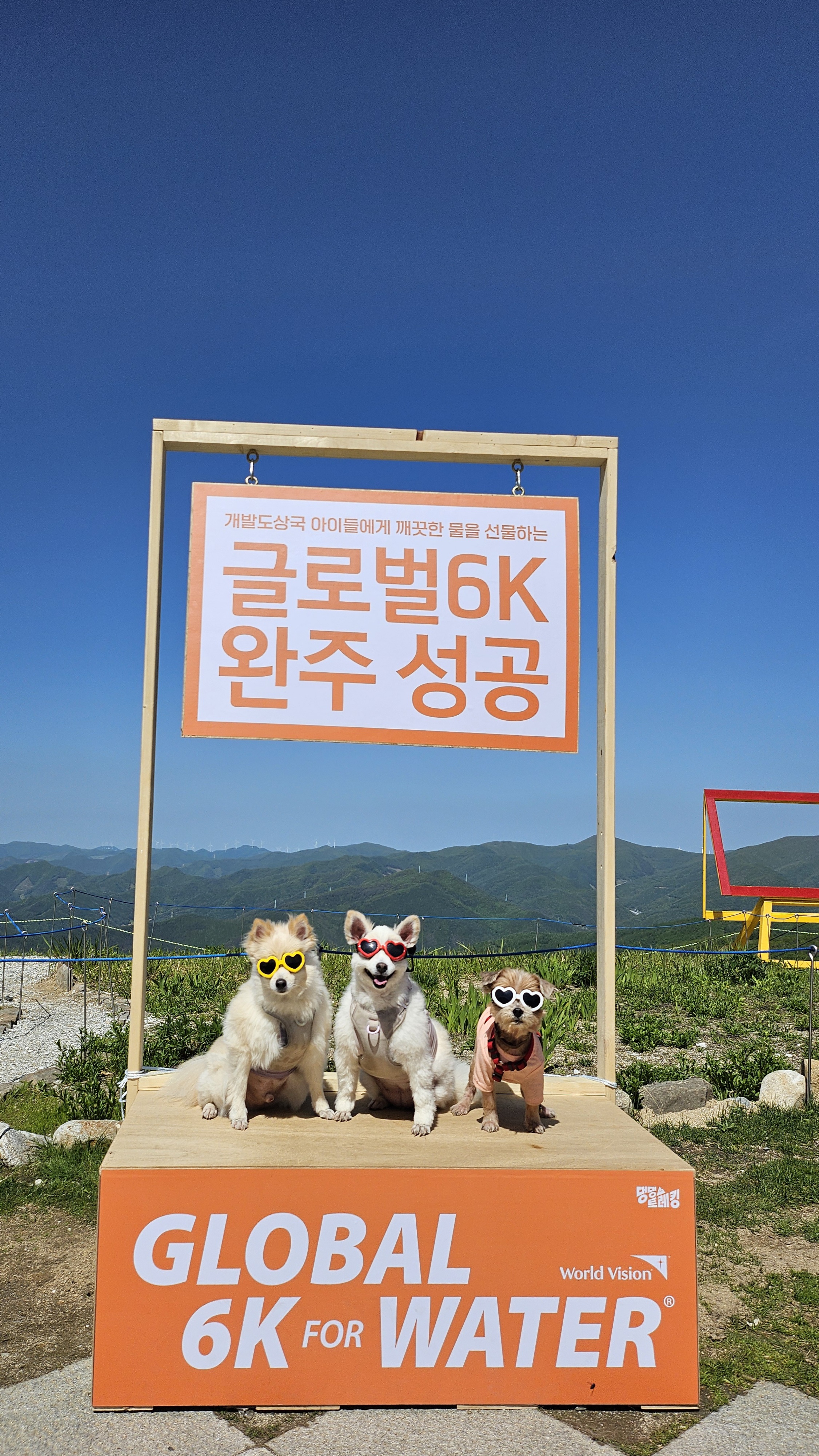 땅콩(곤지암 몽쉘)이는 잘 지냅니다