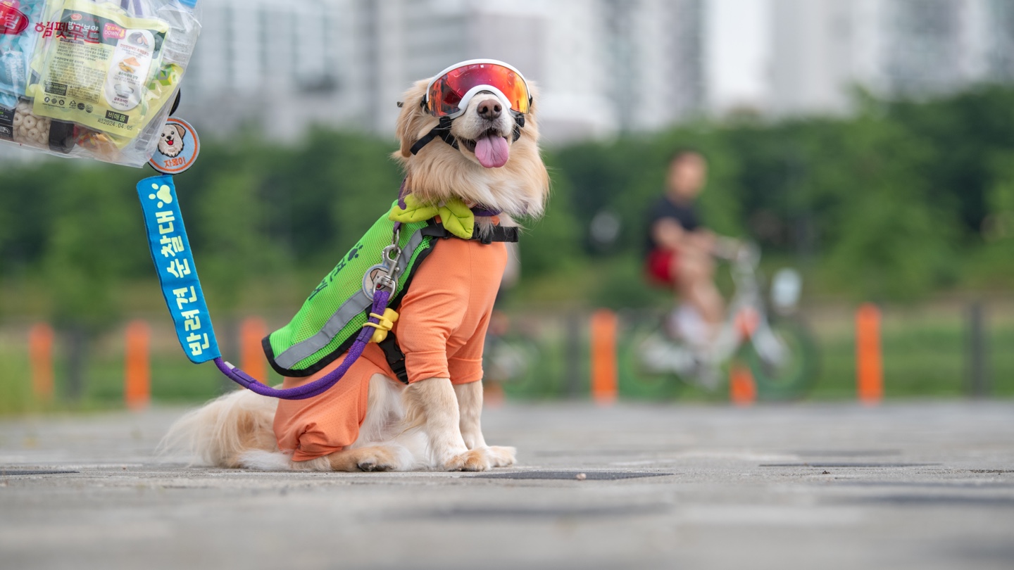 자몽이(구 육콩이)와 1년