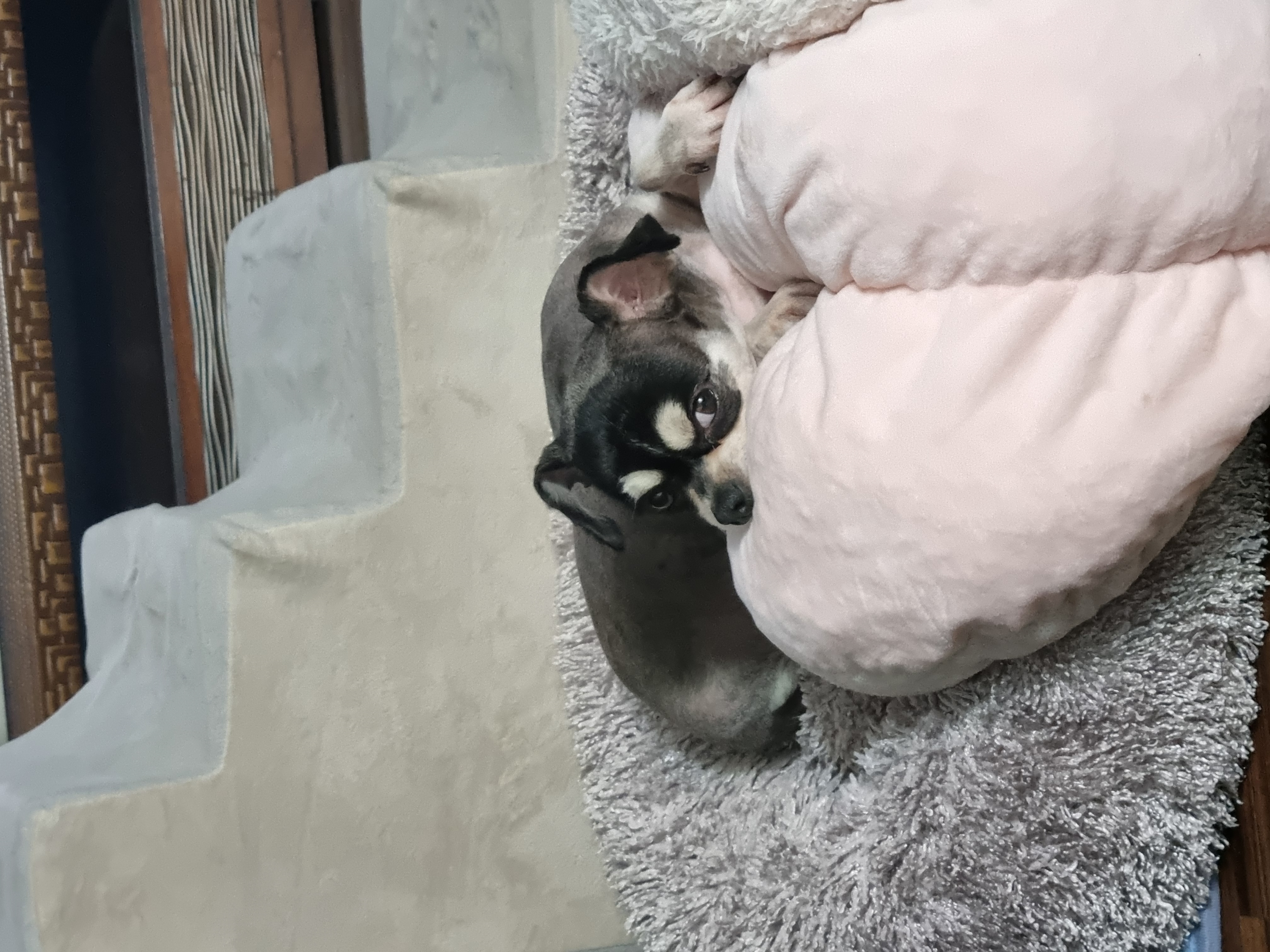 나미 잘 있어요!