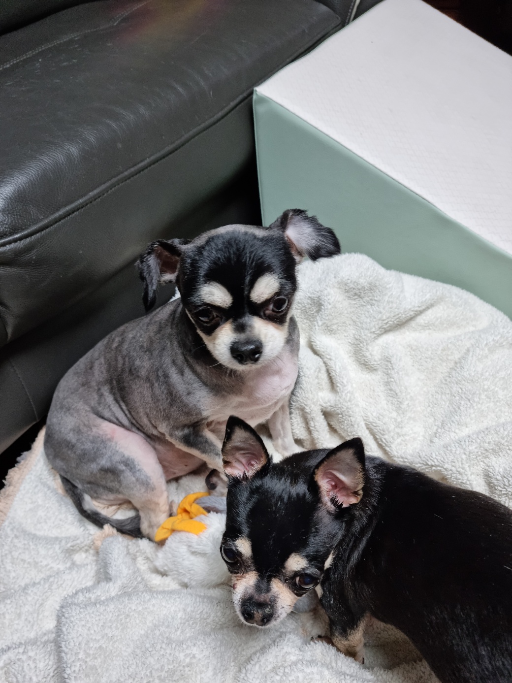 나미 잘 있어요!