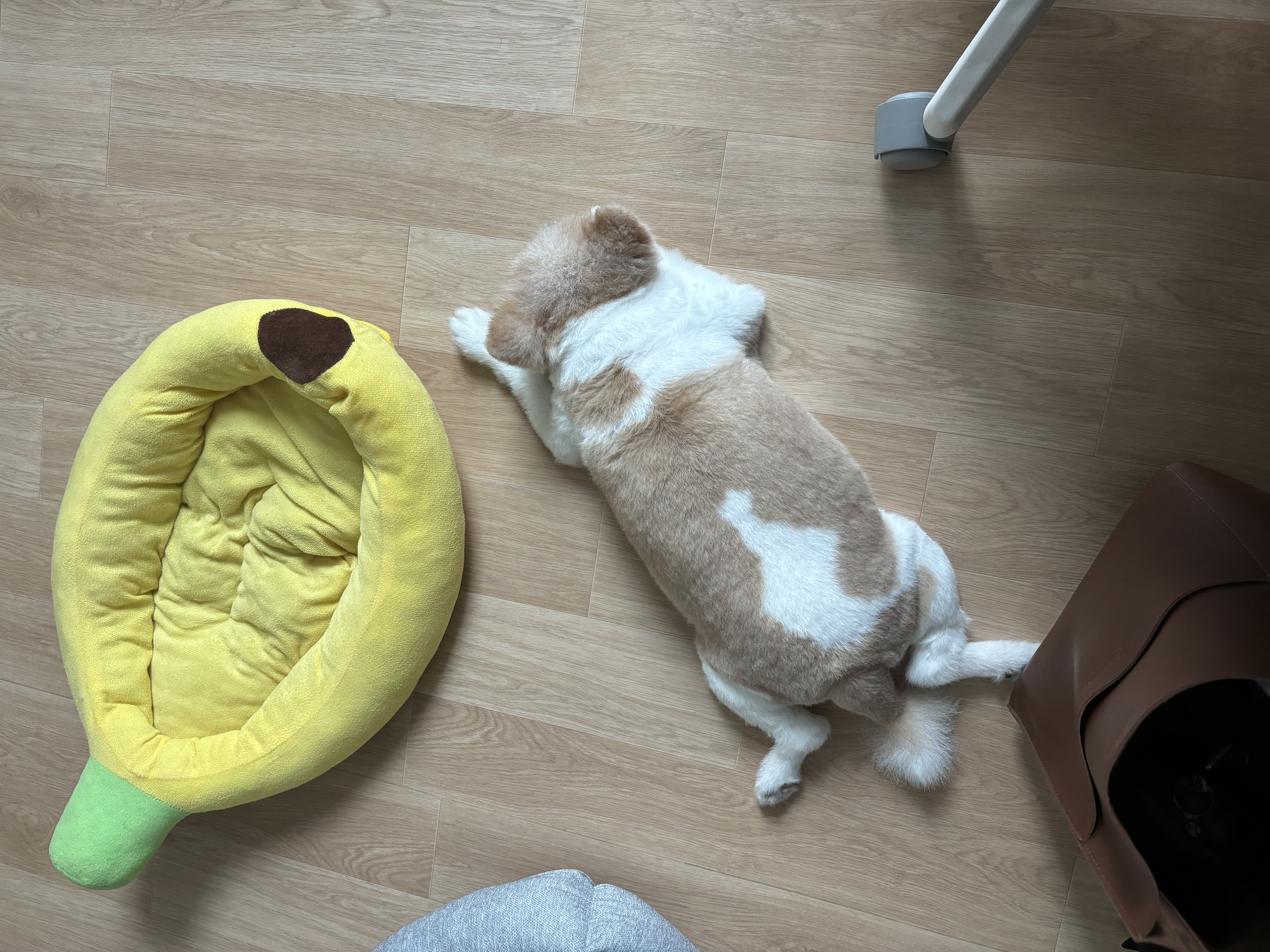구포리 현맥스 근황 전해요 