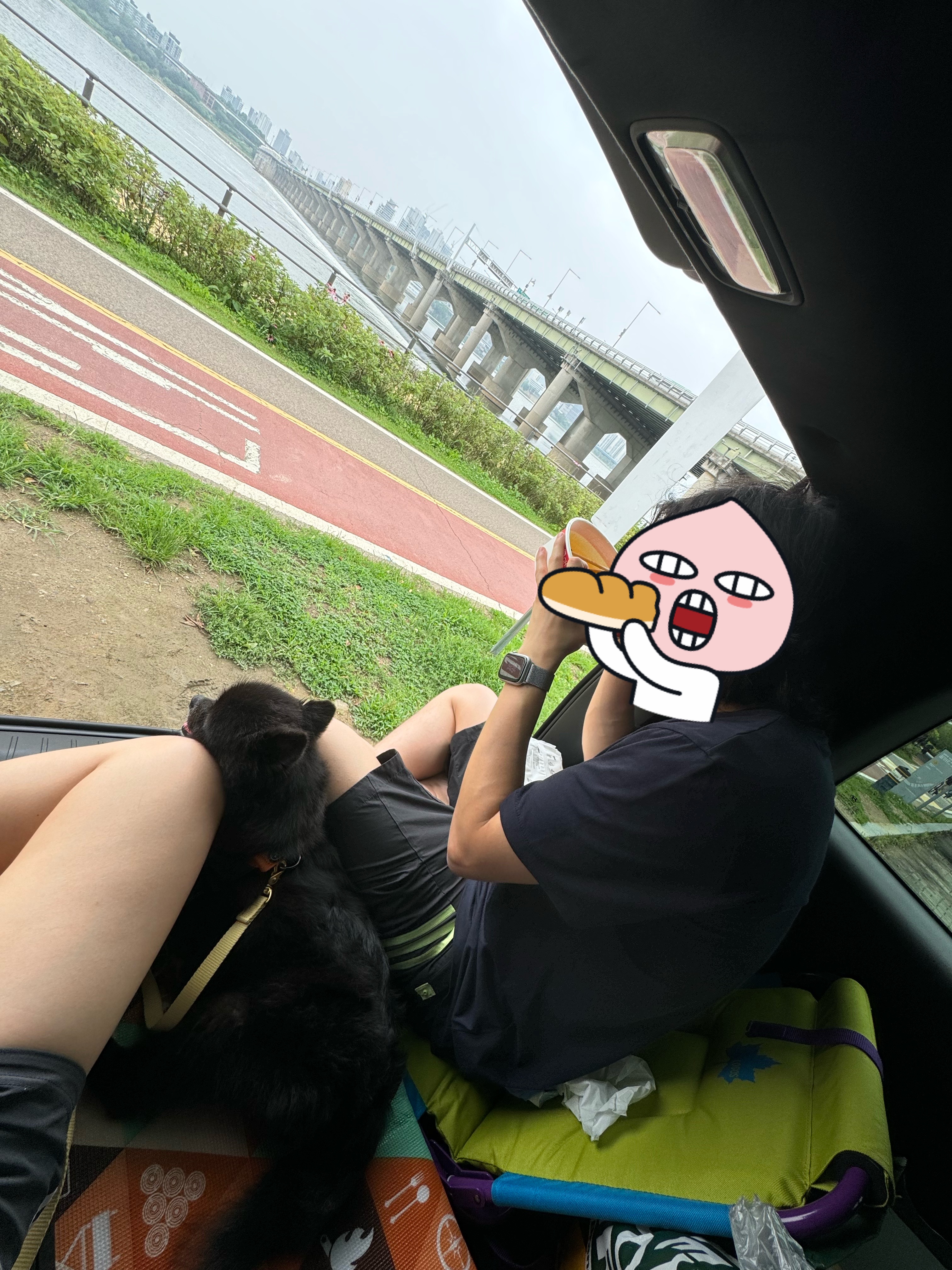 반곰이(현: 레오) 입양전제 임시보호 3개월 후기
