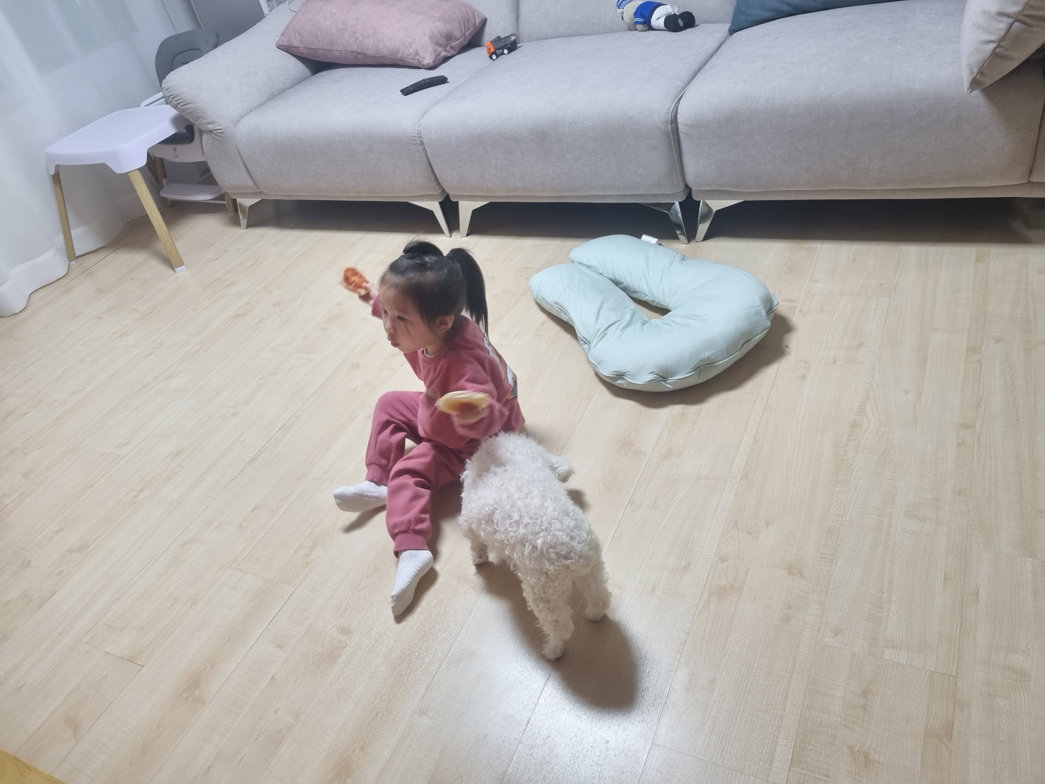 이곤이 소식 전해드려요 ♡