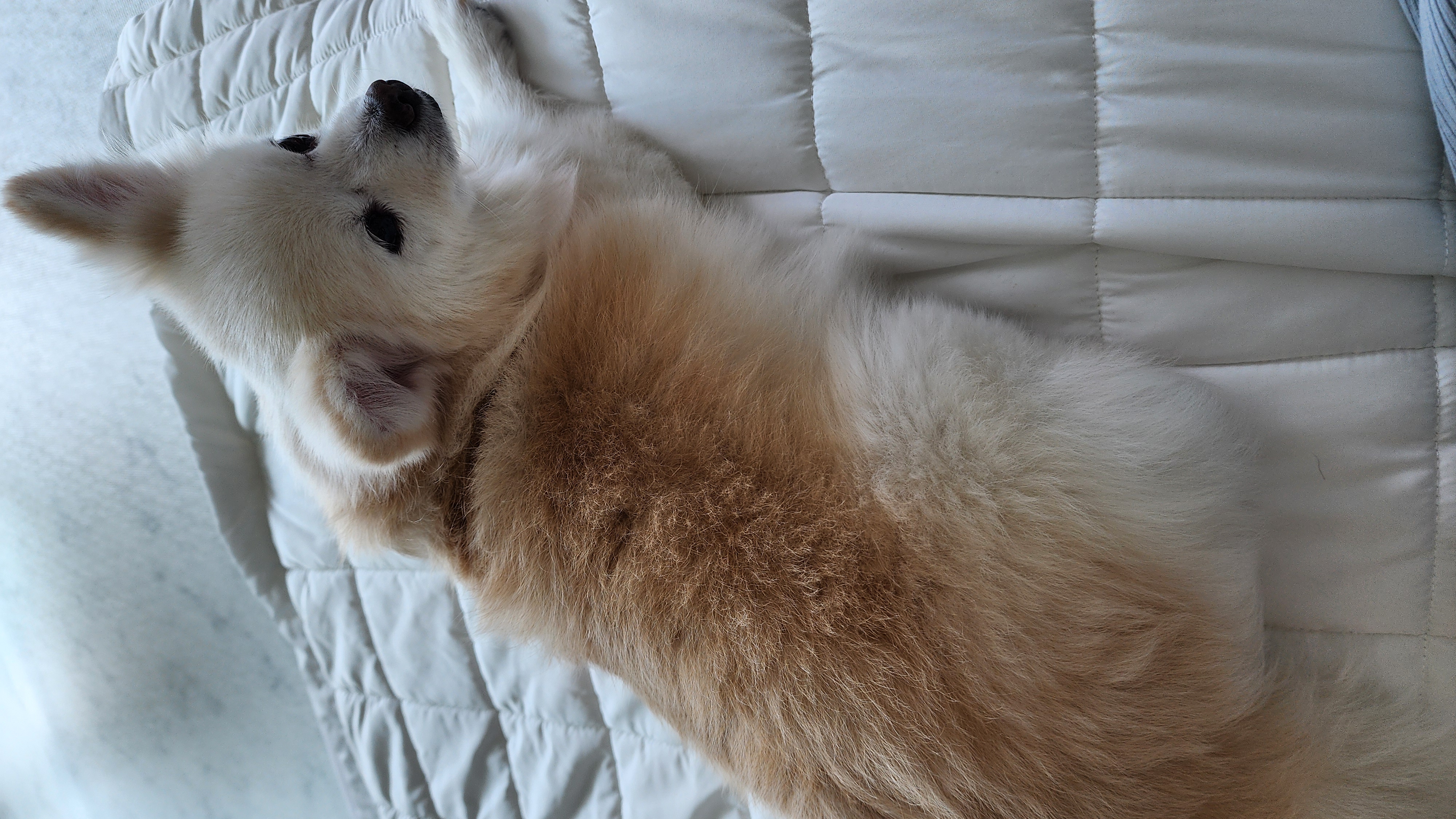 뽀노 잘지내고 있어요 :)