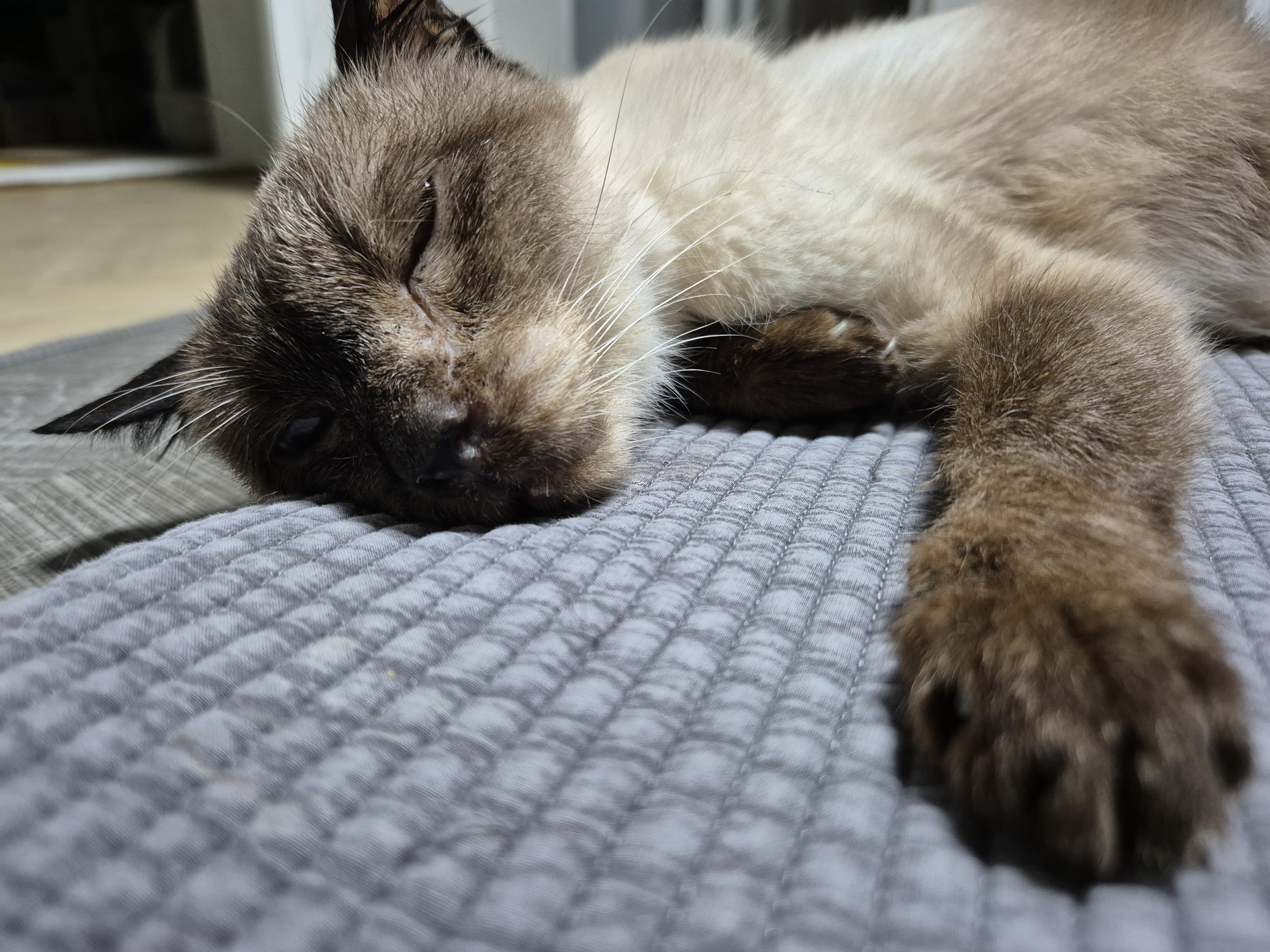 포도2년, 모델이 1년6개월 이야기