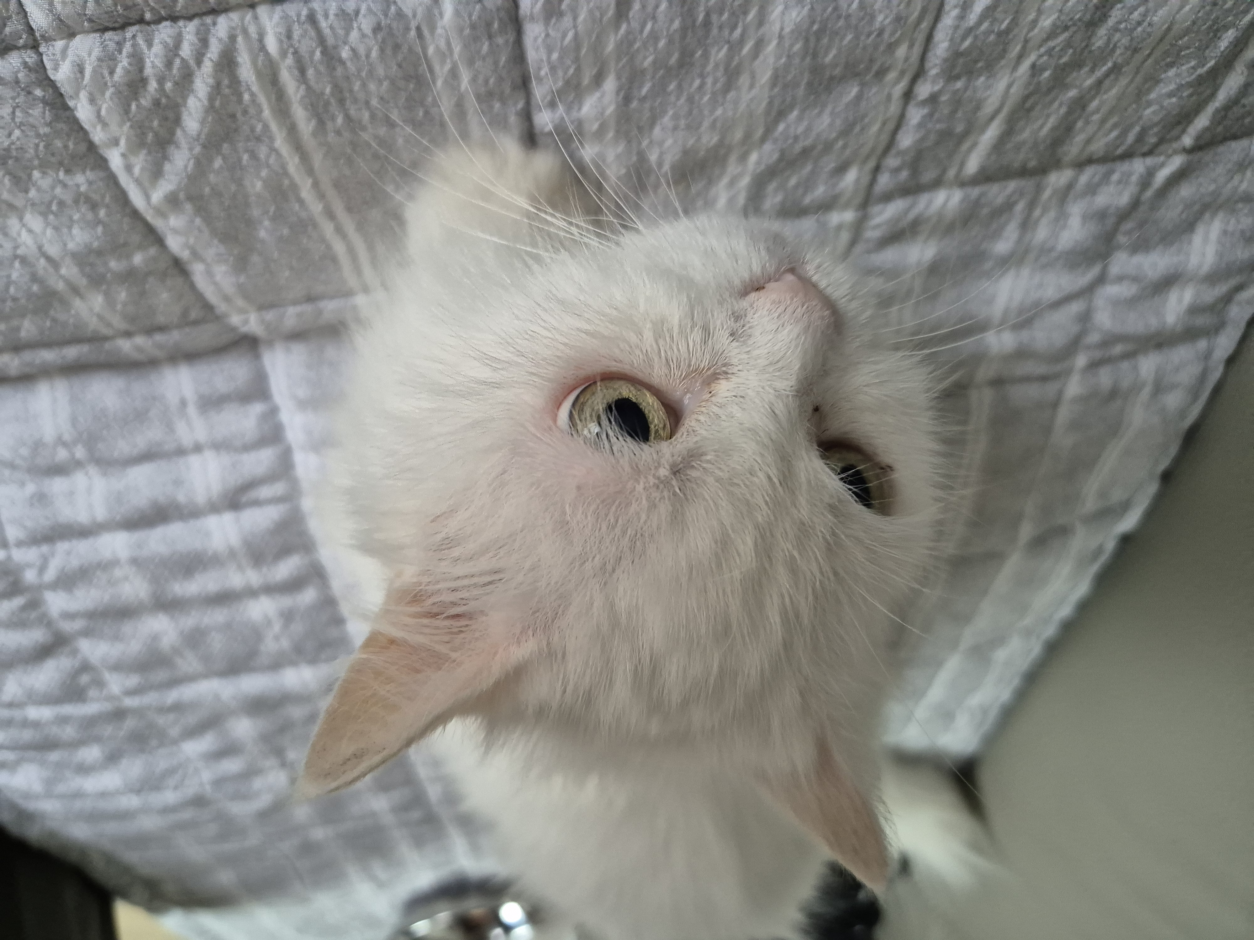 포도2년, 모델이 1년6개월 이야기