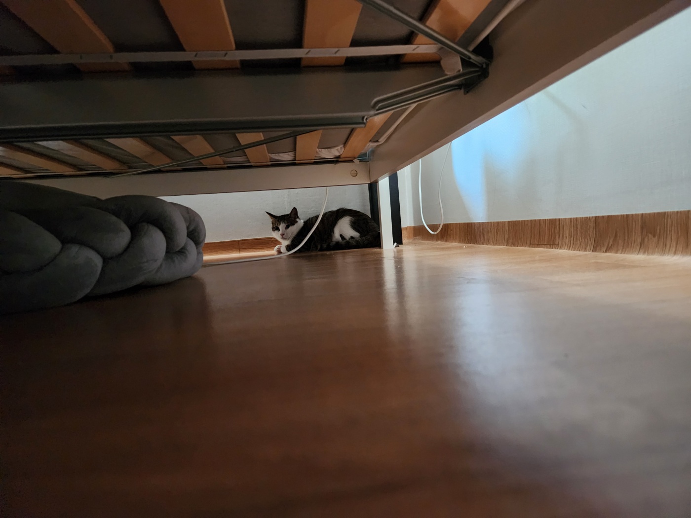 둘째 하모 5일근황!!