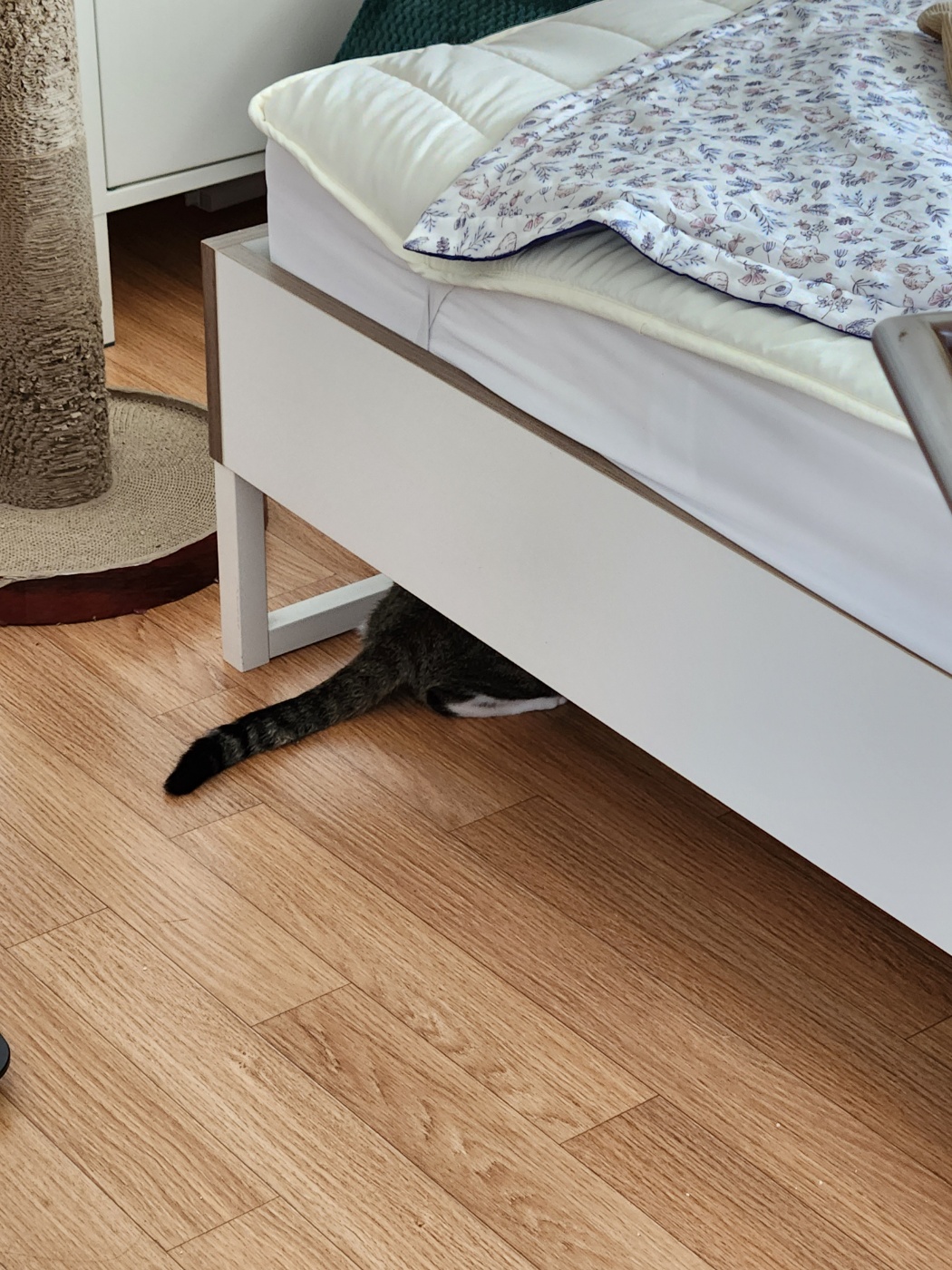 둘째 하모 5일근황!!