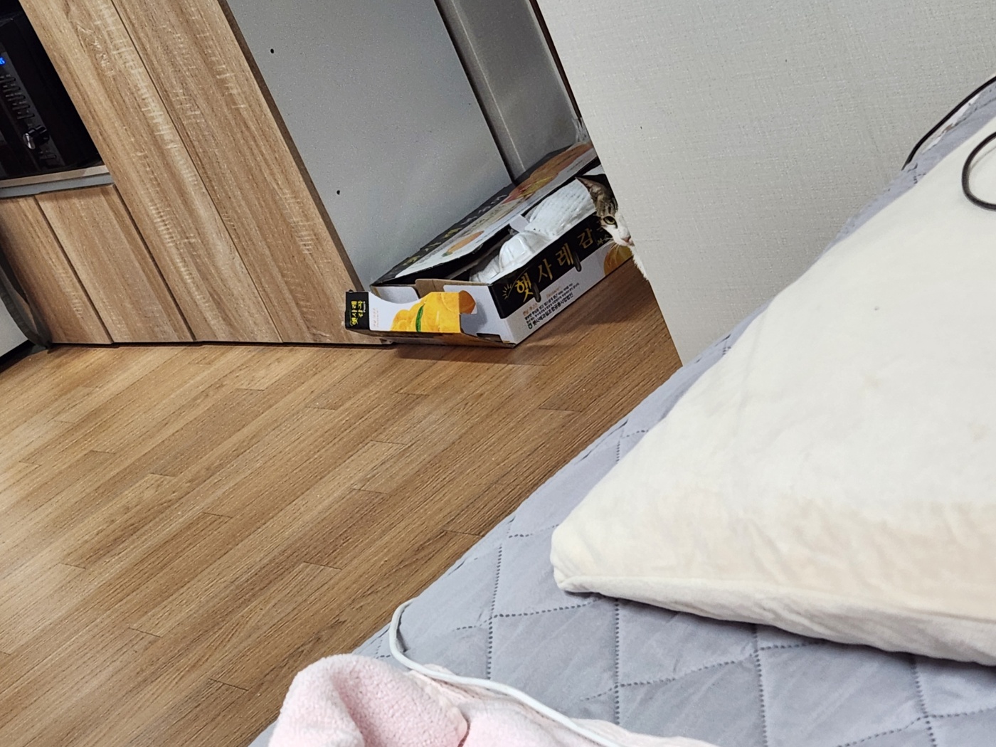 둘째 하모 5일근황!!