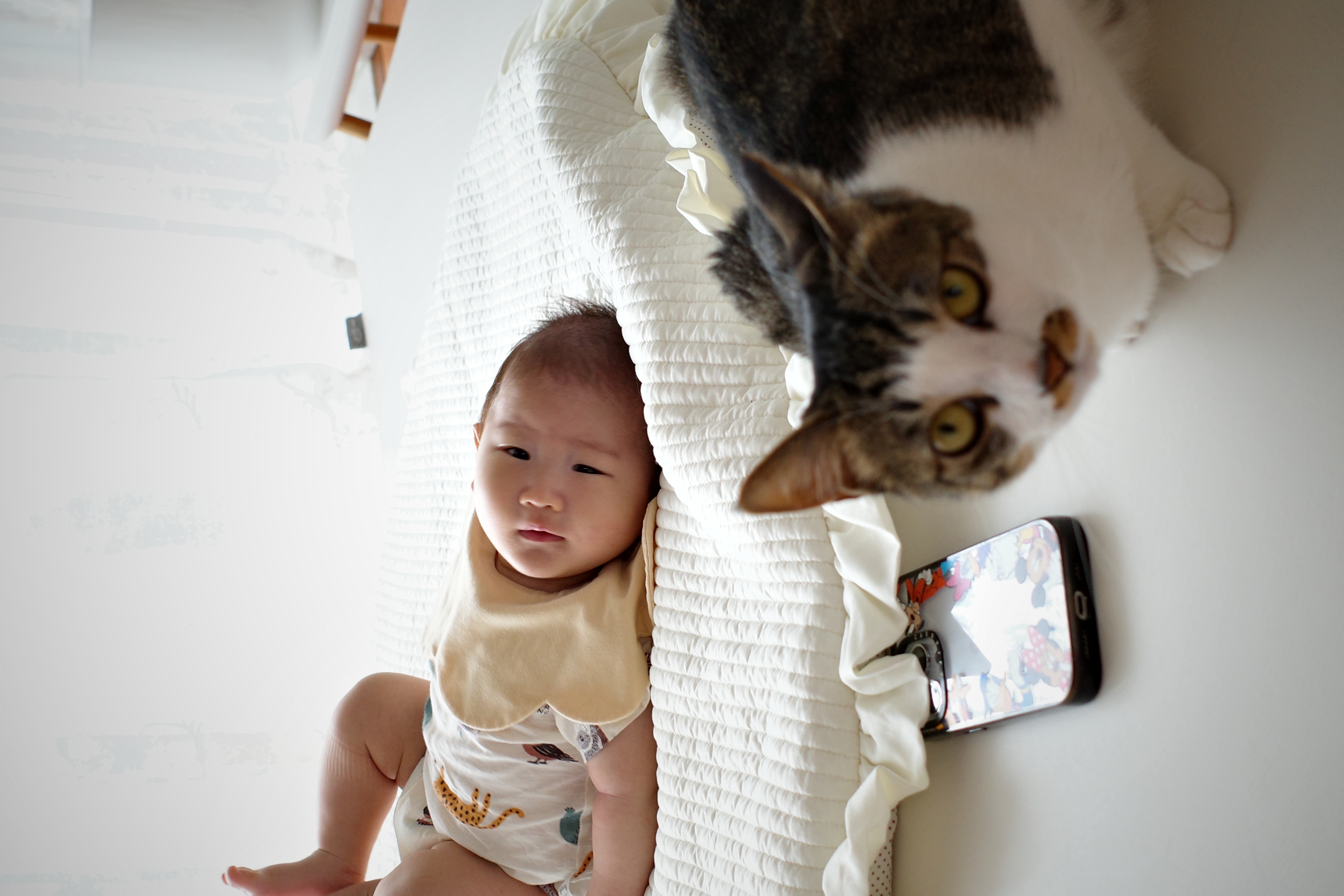 꼬무와 가족이 된지 어느새 1년