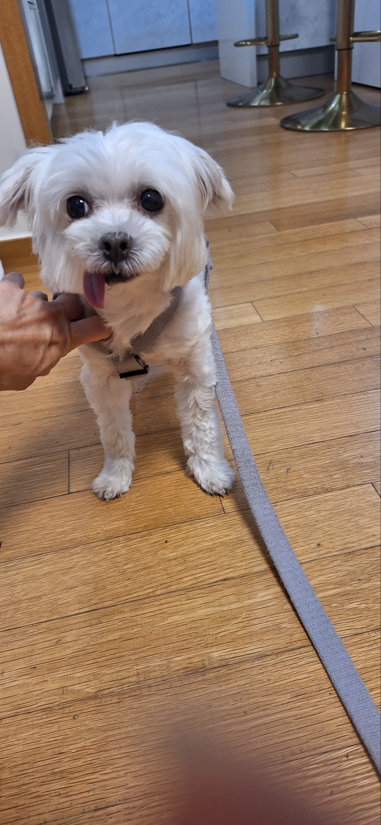 바로 임보 4개월째