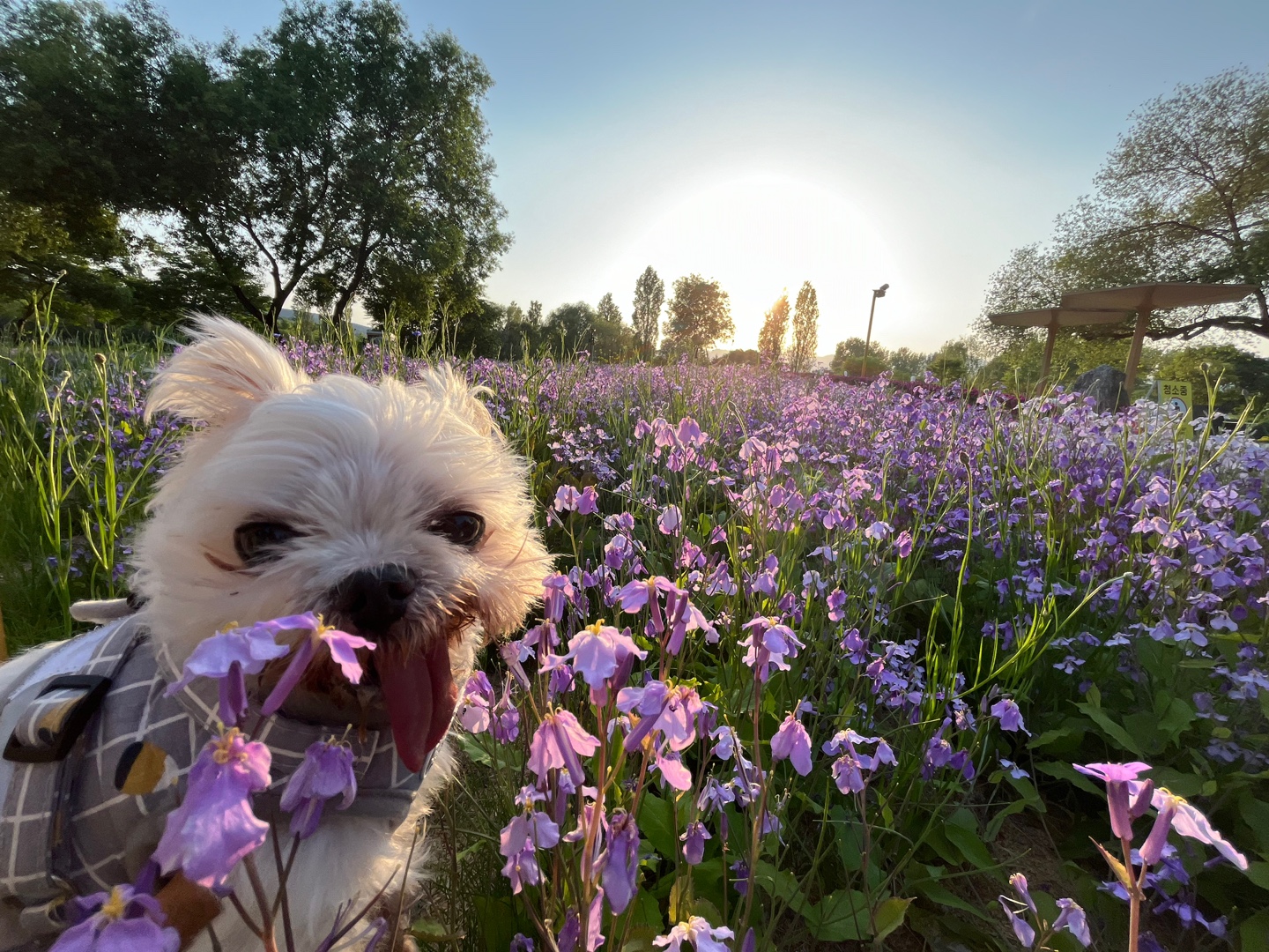 바토는 올해도 잘 지내고 있어요