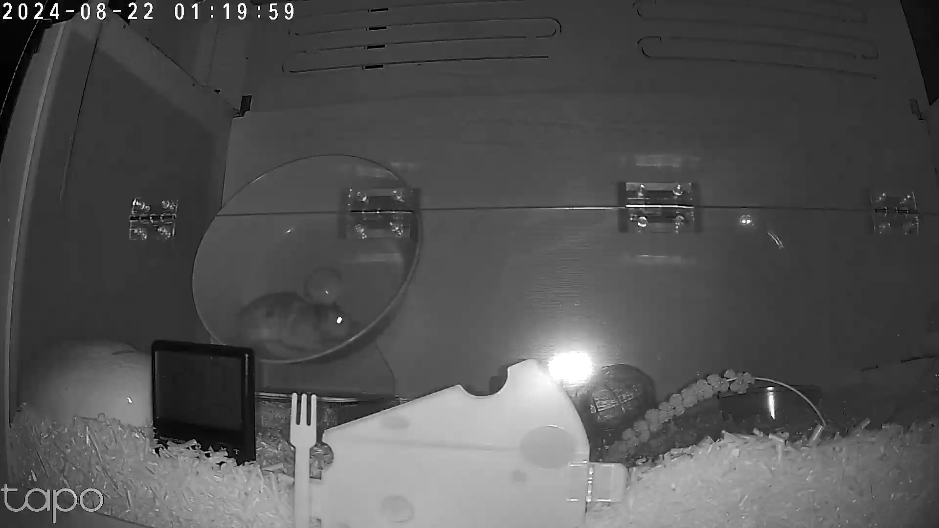 온햄이는 잘 지내고 있어요